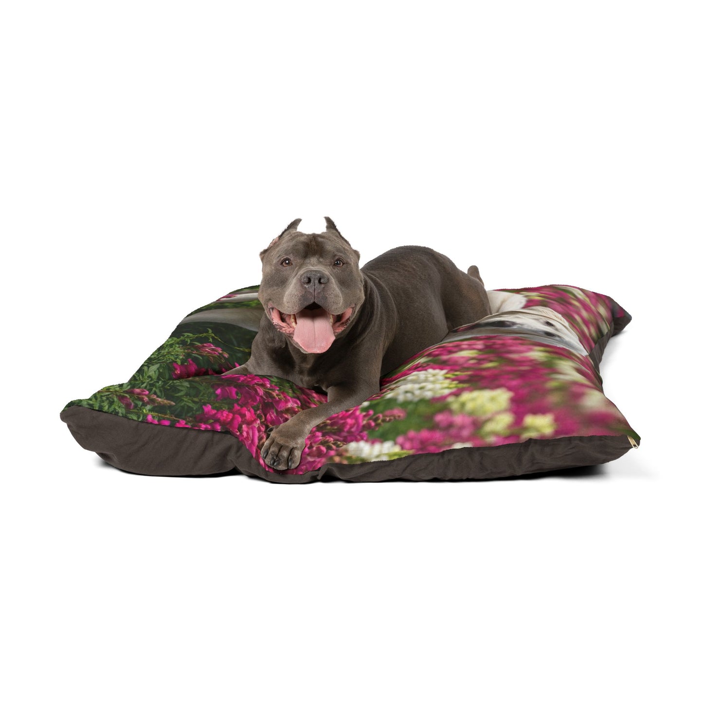 Estrela Mountain Dog Pet Bed