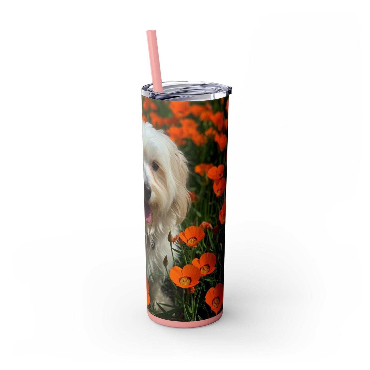 Havanese Tumbler with Straw, 20oz