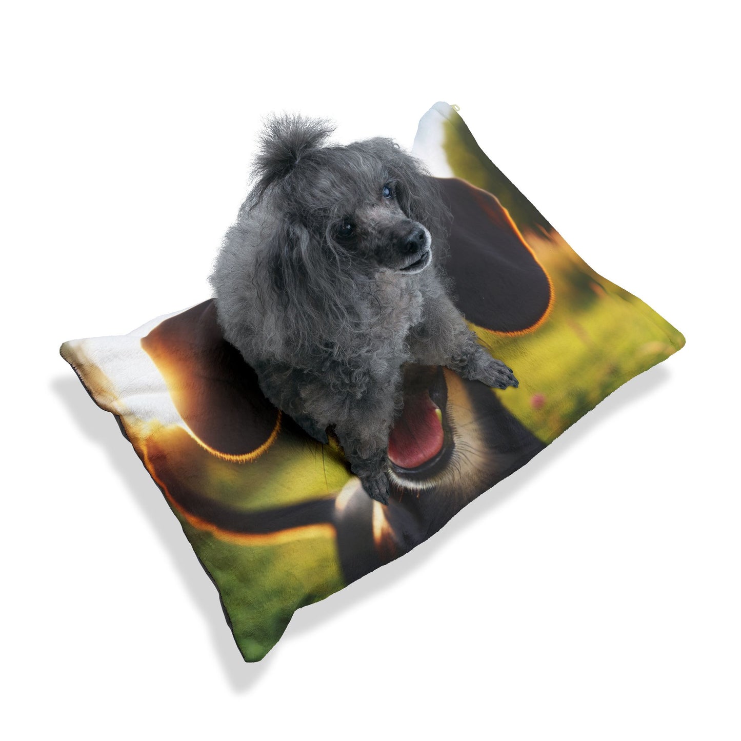 Transylvanian Hound Pet Bed