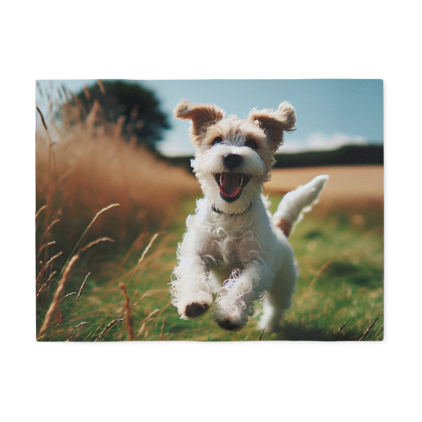Tenterfield Terrier Sweatshirt Blanket