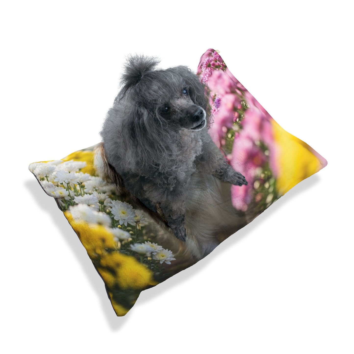 Papillon Pet Bed