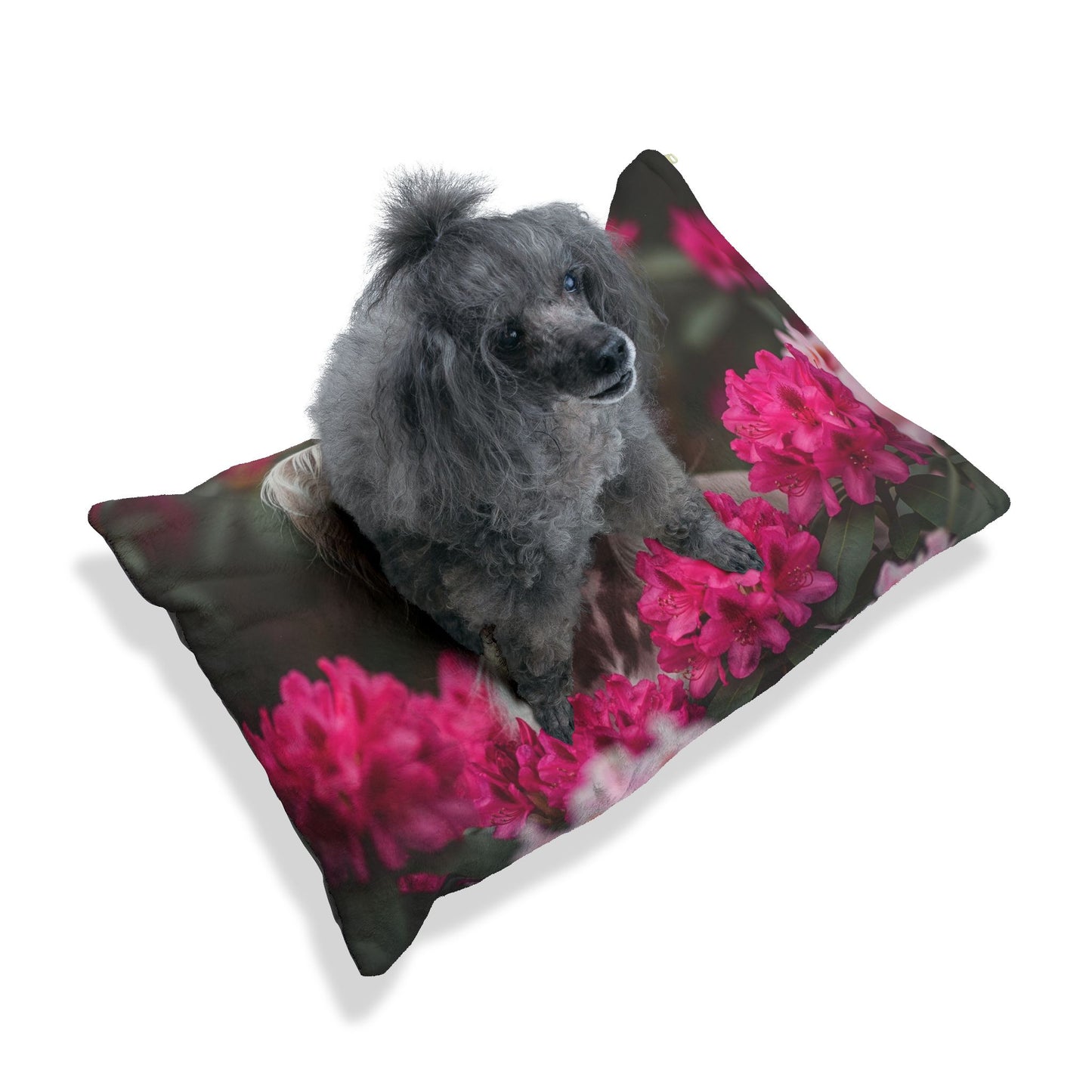 Chinese Crested Pet Bed