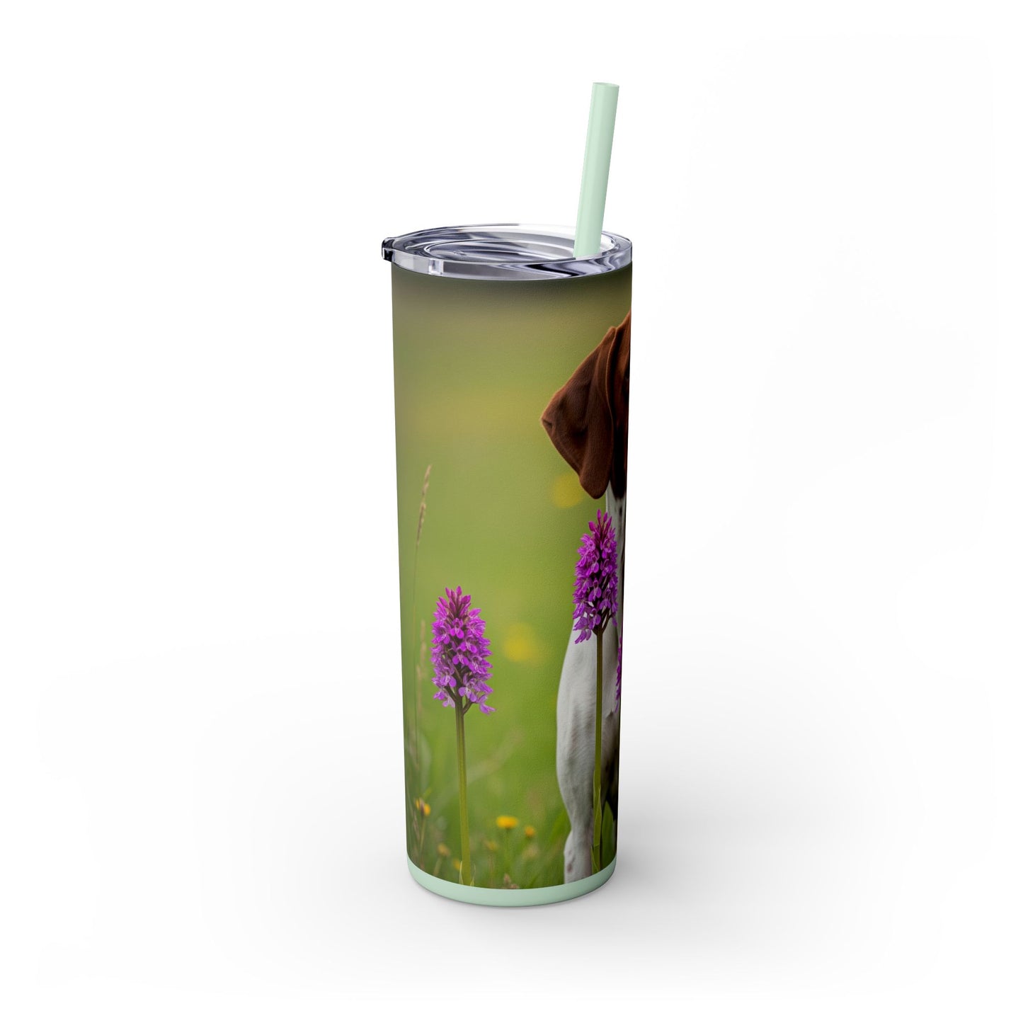 Pointer Skinny Tumbler with Straw, 20oz