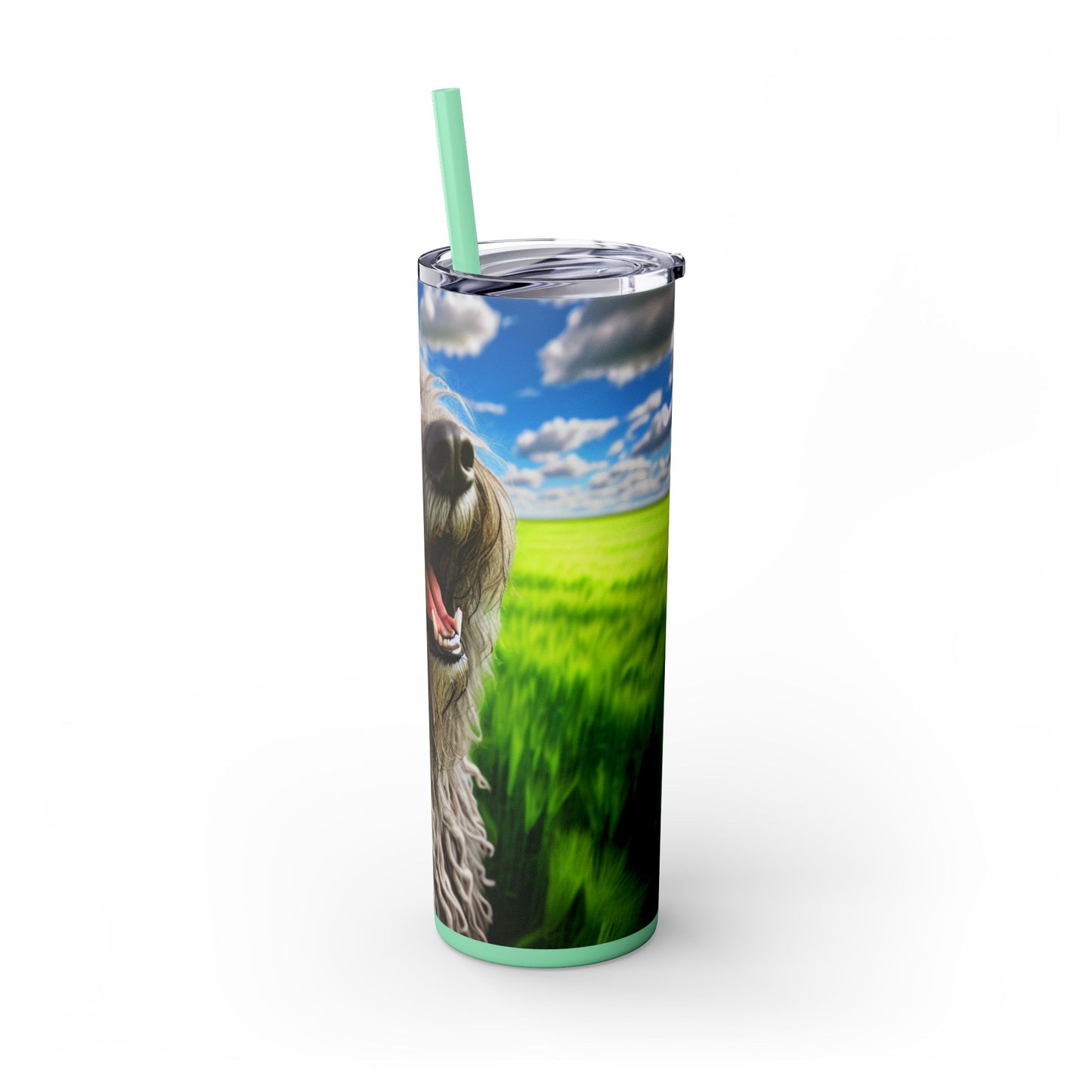 Bergamasco Shepherd Dog Tumbler with Straw, 20oz