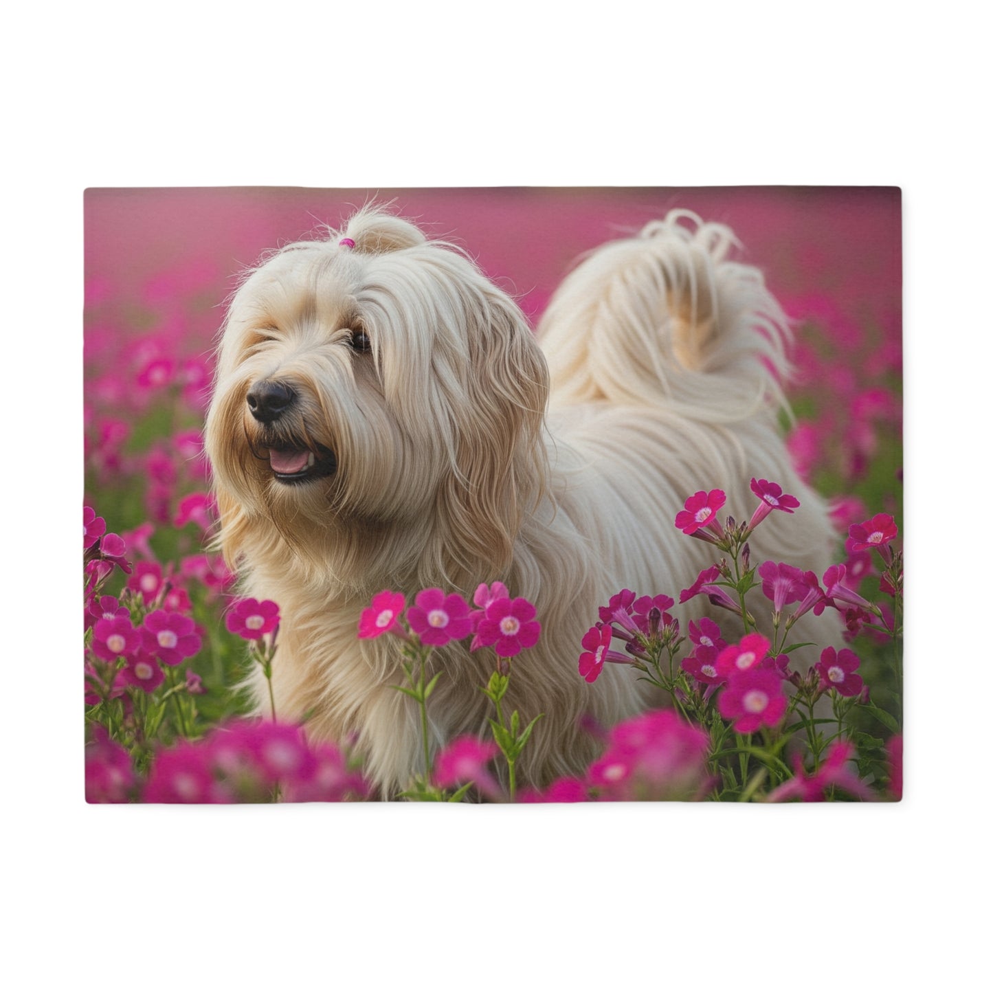 Tibetan Terrier Sweatshirt Blanket