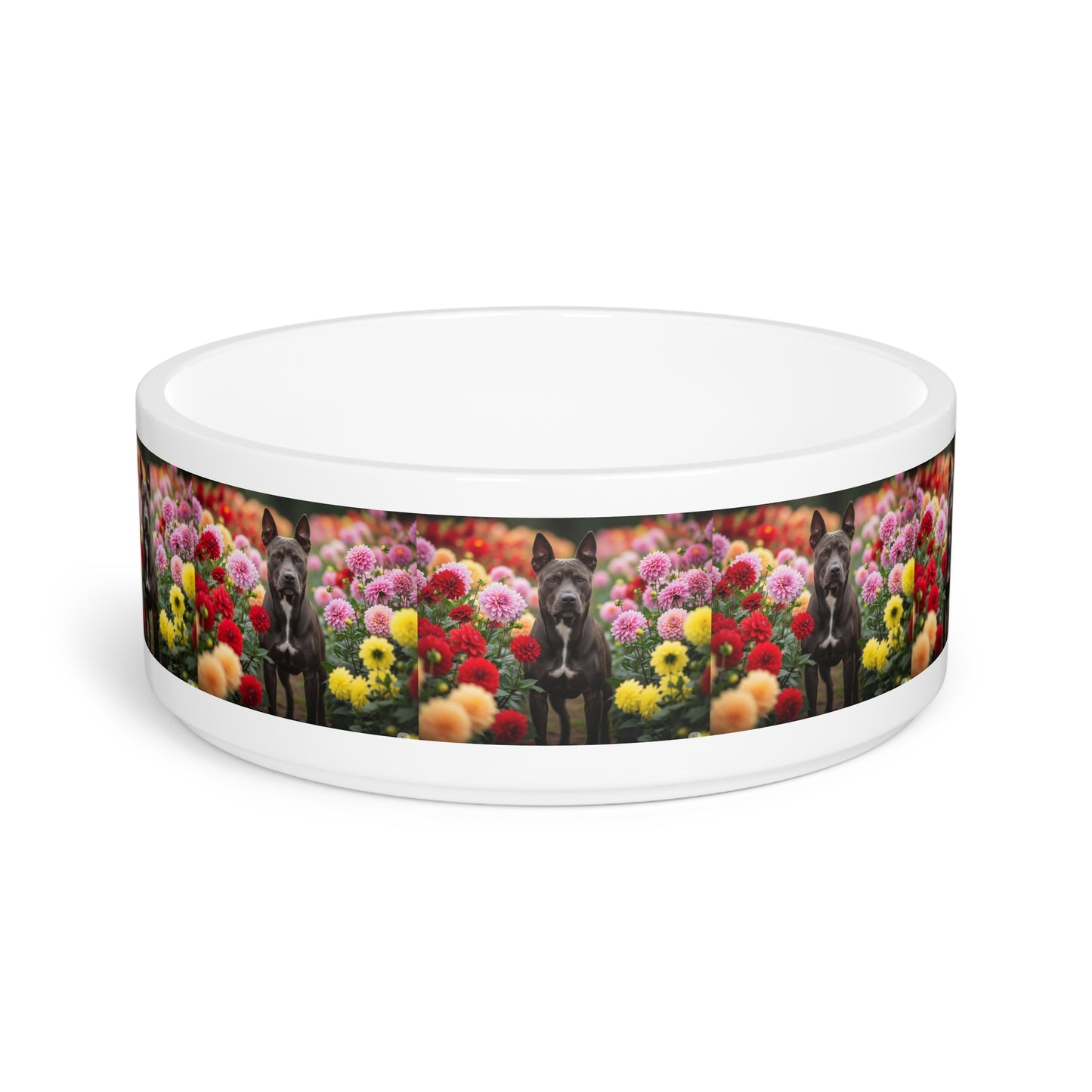 Calupoh Pet Bowl