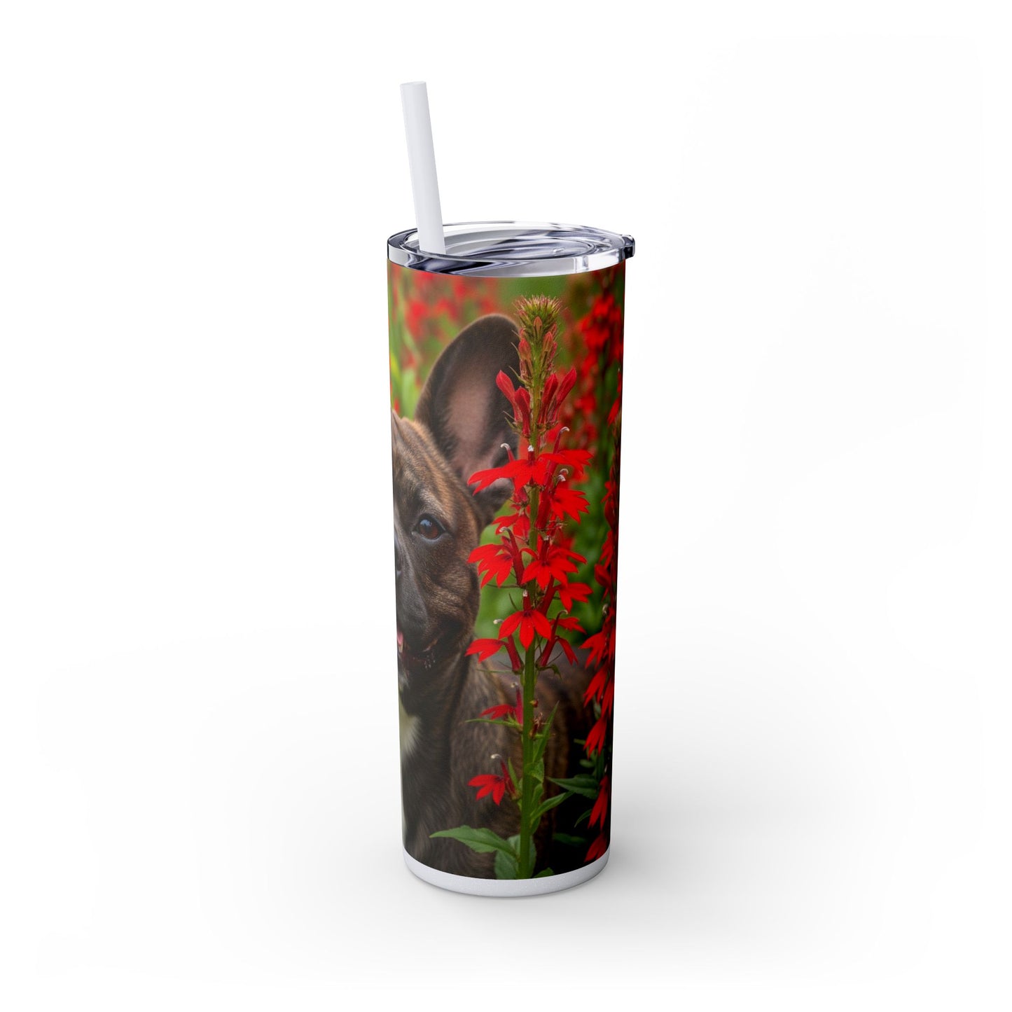 Frenchton Tumbler with Straw, 20oz