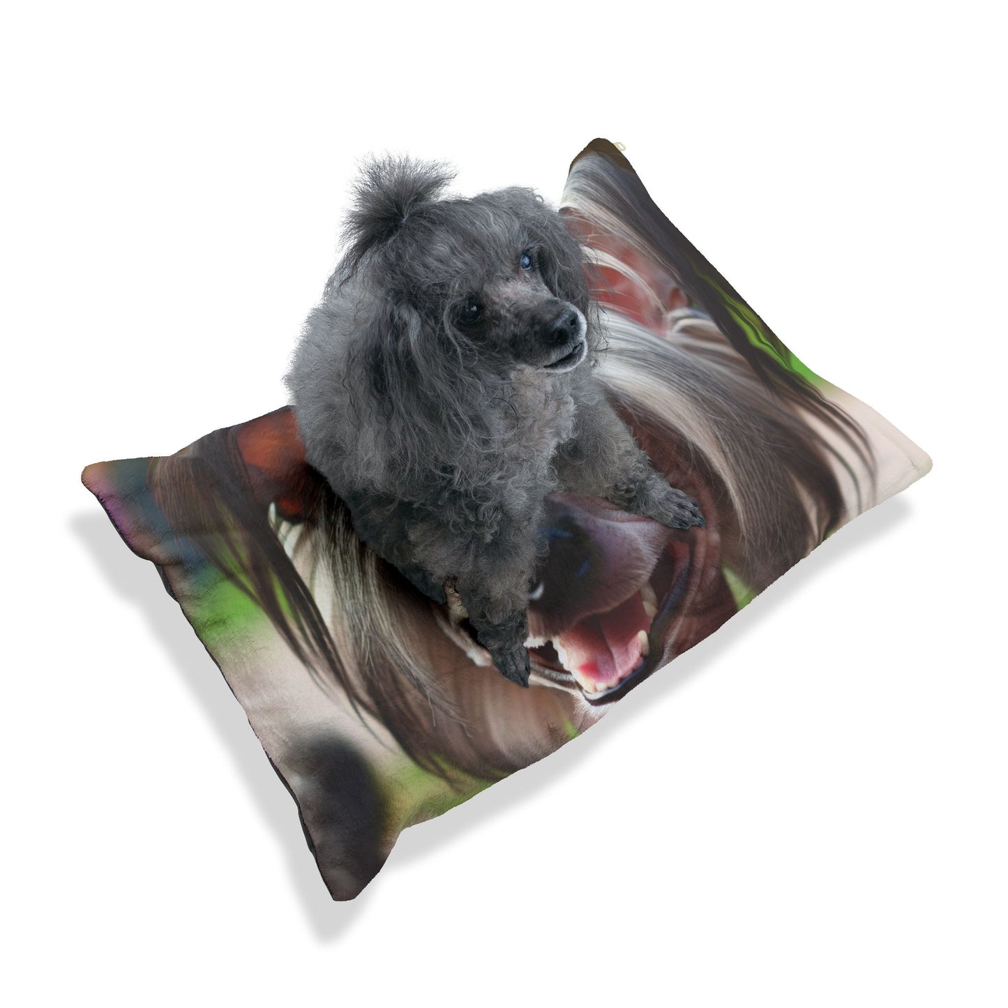 Chinese Crested Dog Pet Bed