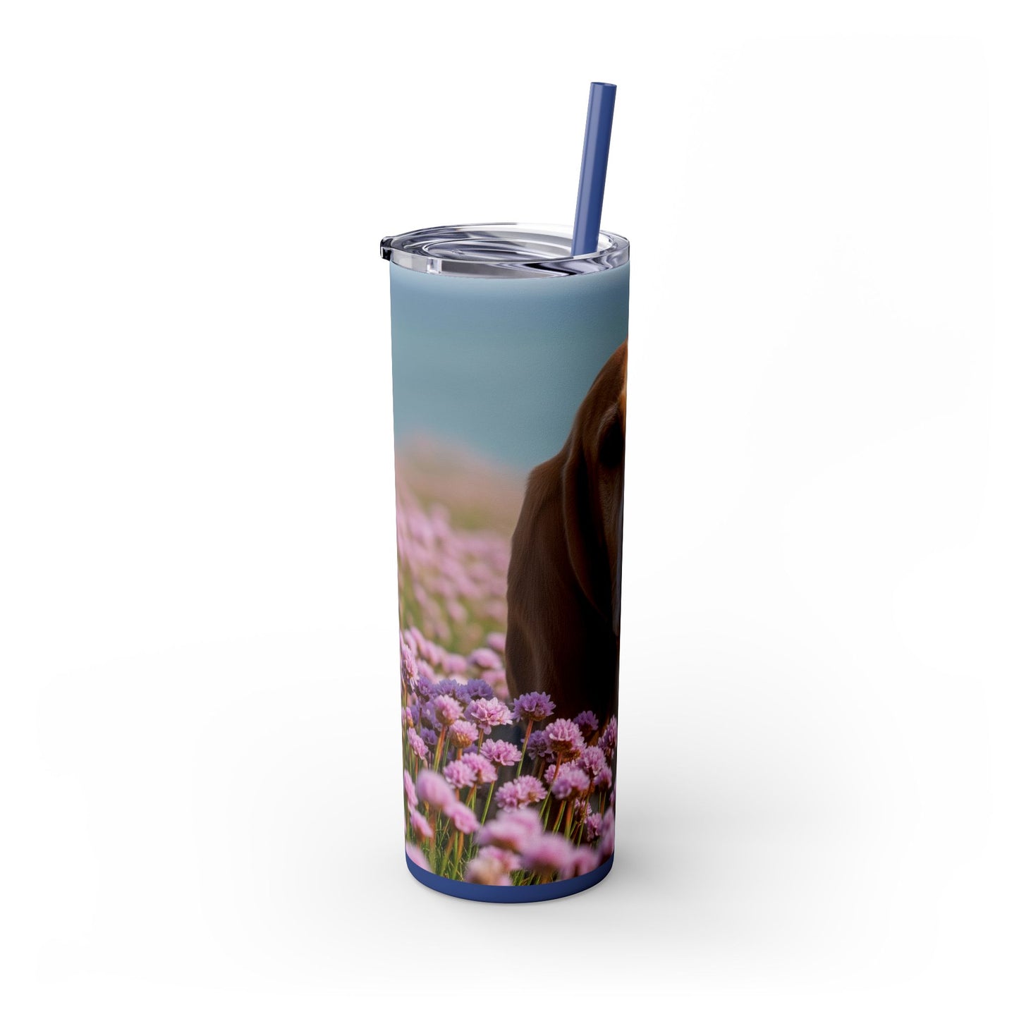 Basset Fauve de Bretagne Skinny Tumbler with Straw, 20oz