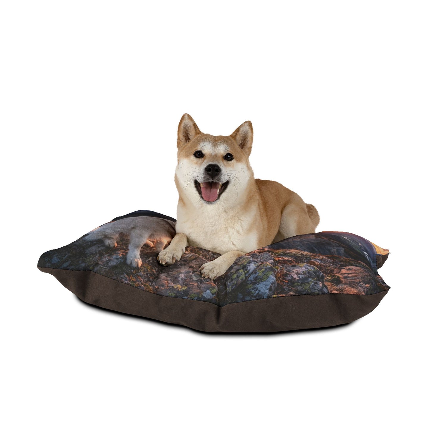 White Swiss Shepherd Dog Pet Bed