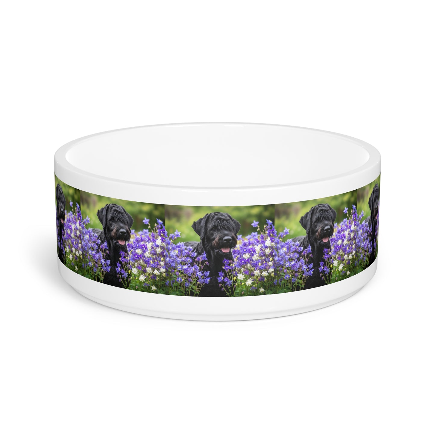 Black Russian Terrier Pet Bowl