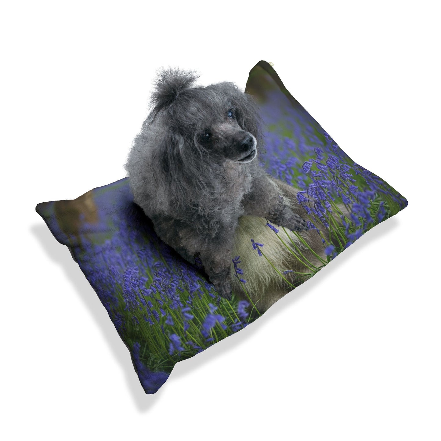 Bearded Collie Pet Bed