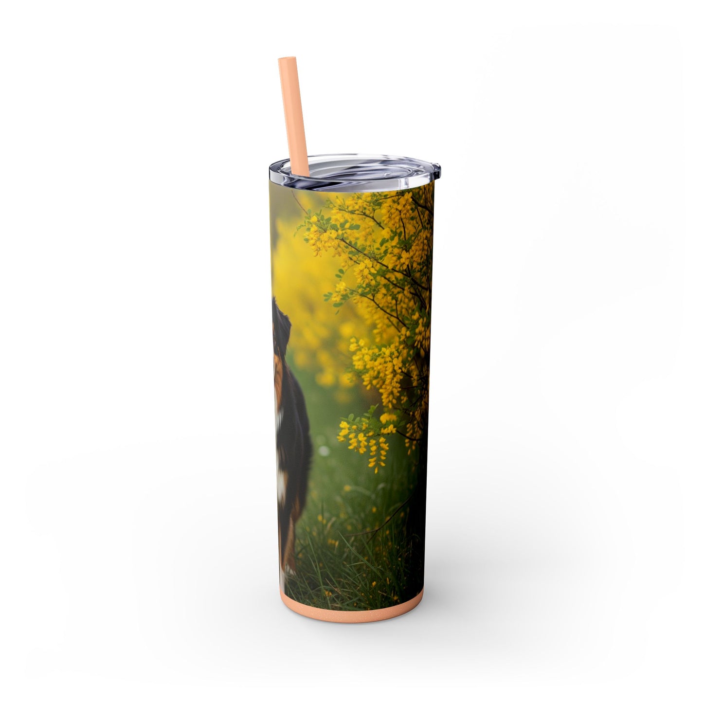 Australian Shepherd Skinny Tumbler with Straw, 20oz