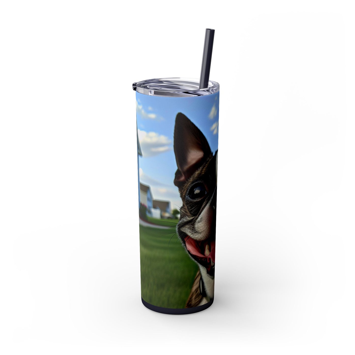 Boston Terrier Tumbler with Straw, 20oz