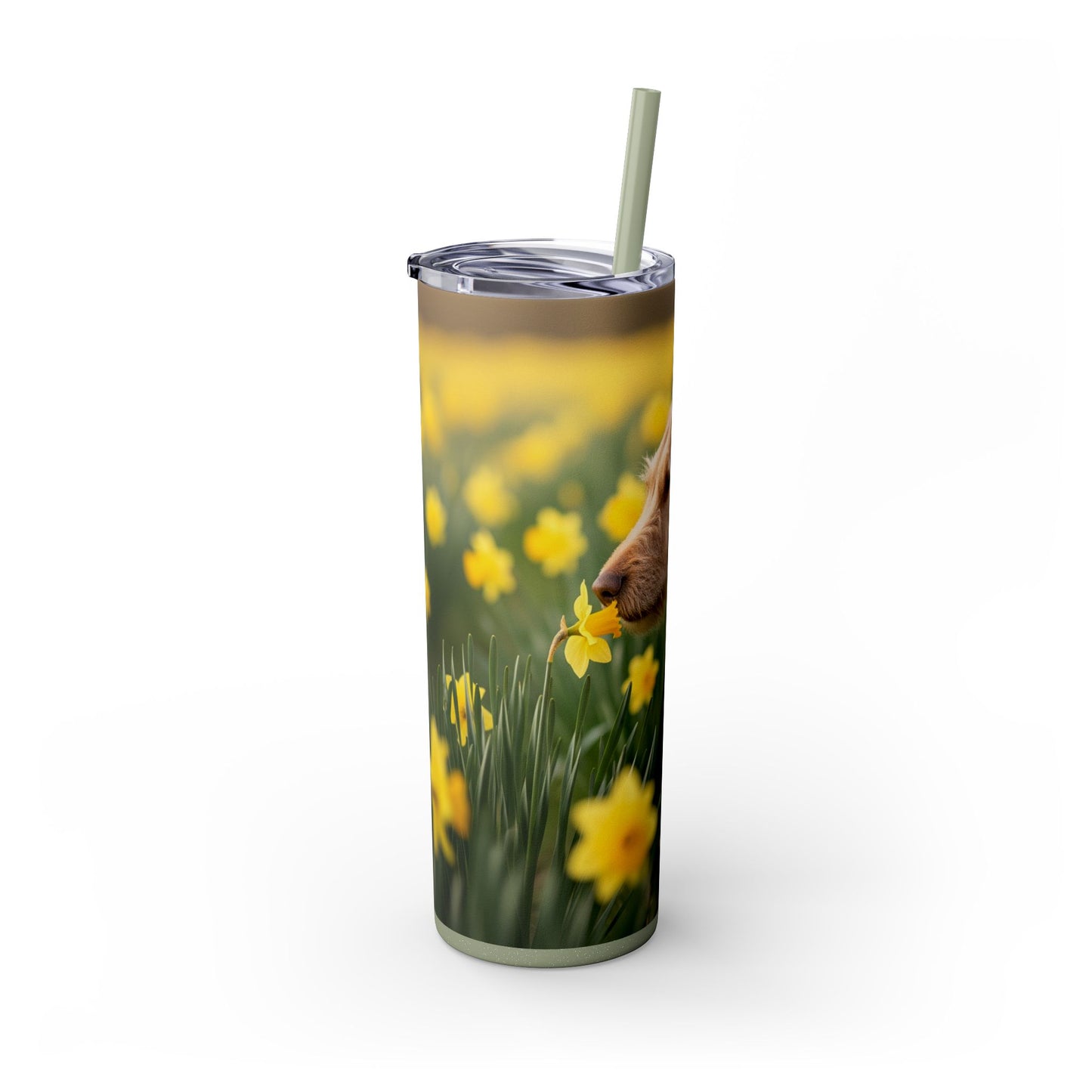 Portuguese Podengo Pequeno Skinny Tumbler with Straw, 20oz
