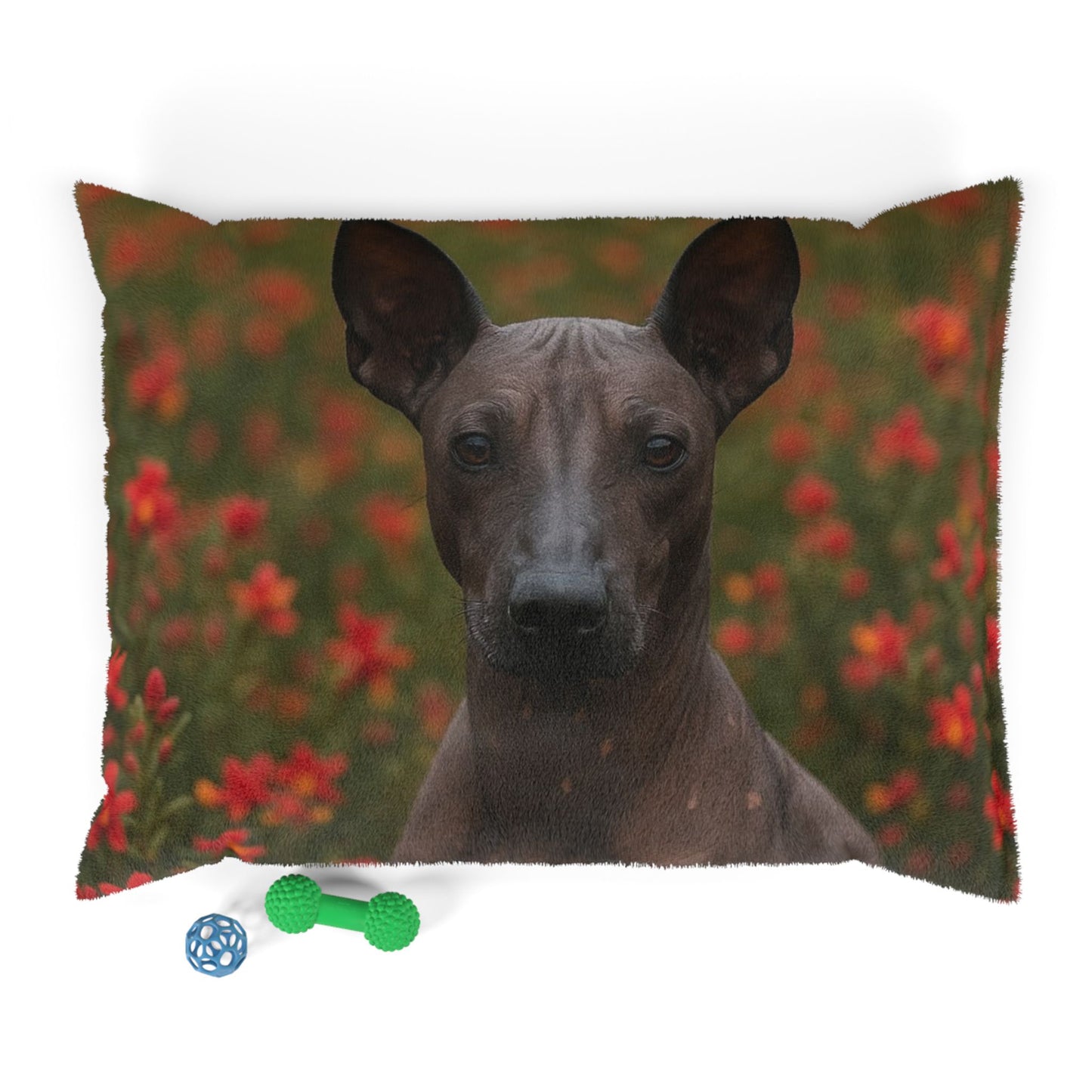 Peruvian Inca Orchid Pet Bed