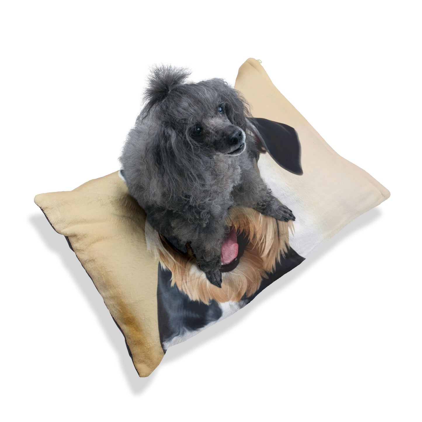 Giant Schnauzer Pet Bed