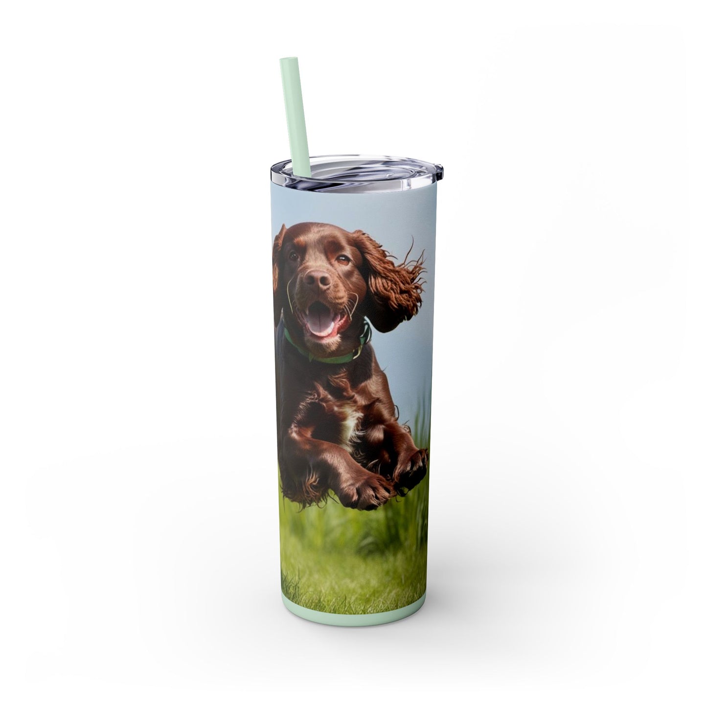 Irish Water Spaniel Tumbler with Straw, 20oz