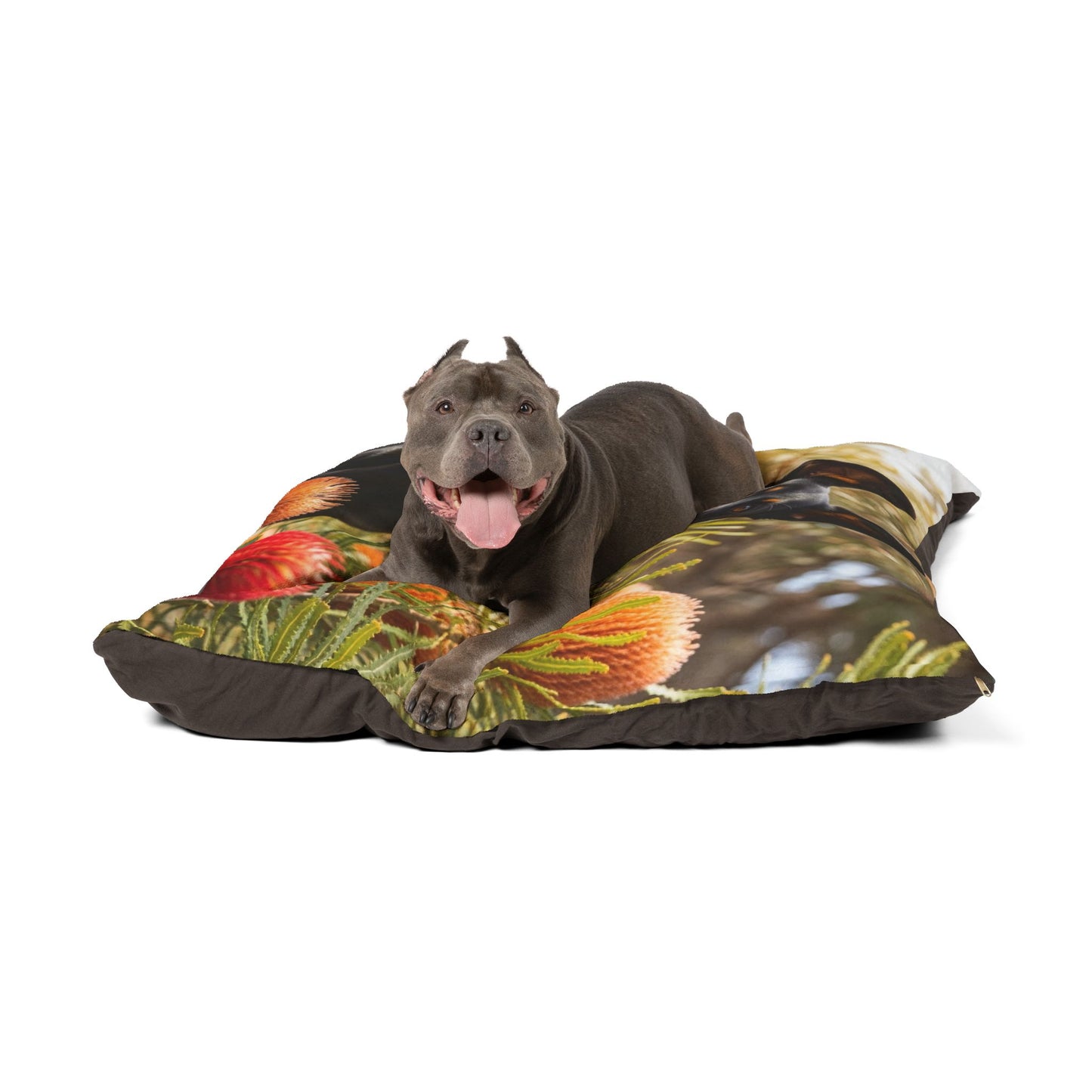 Working Kelpie Pet Bed