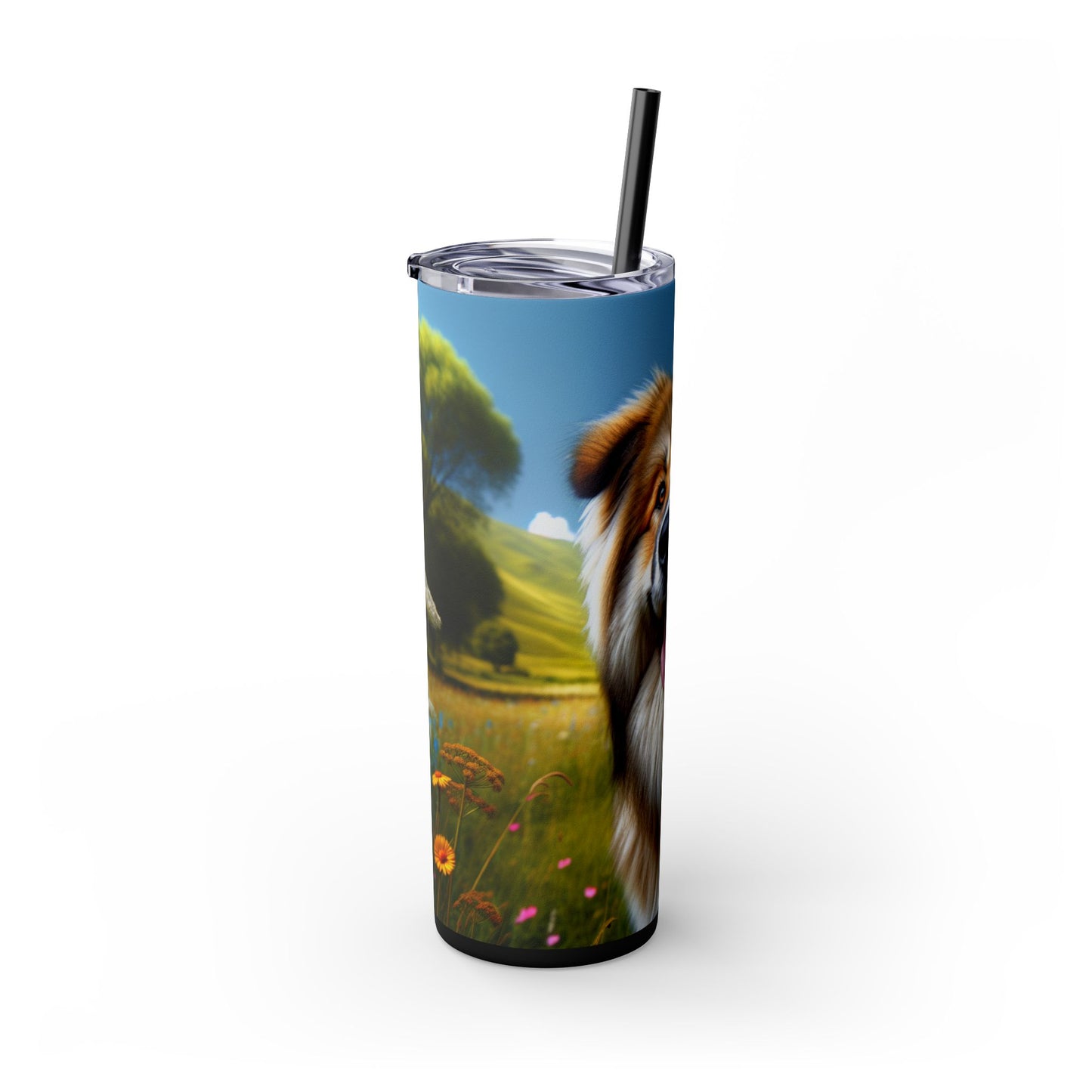 Bakharwal Tumbler with Straw, 20oz