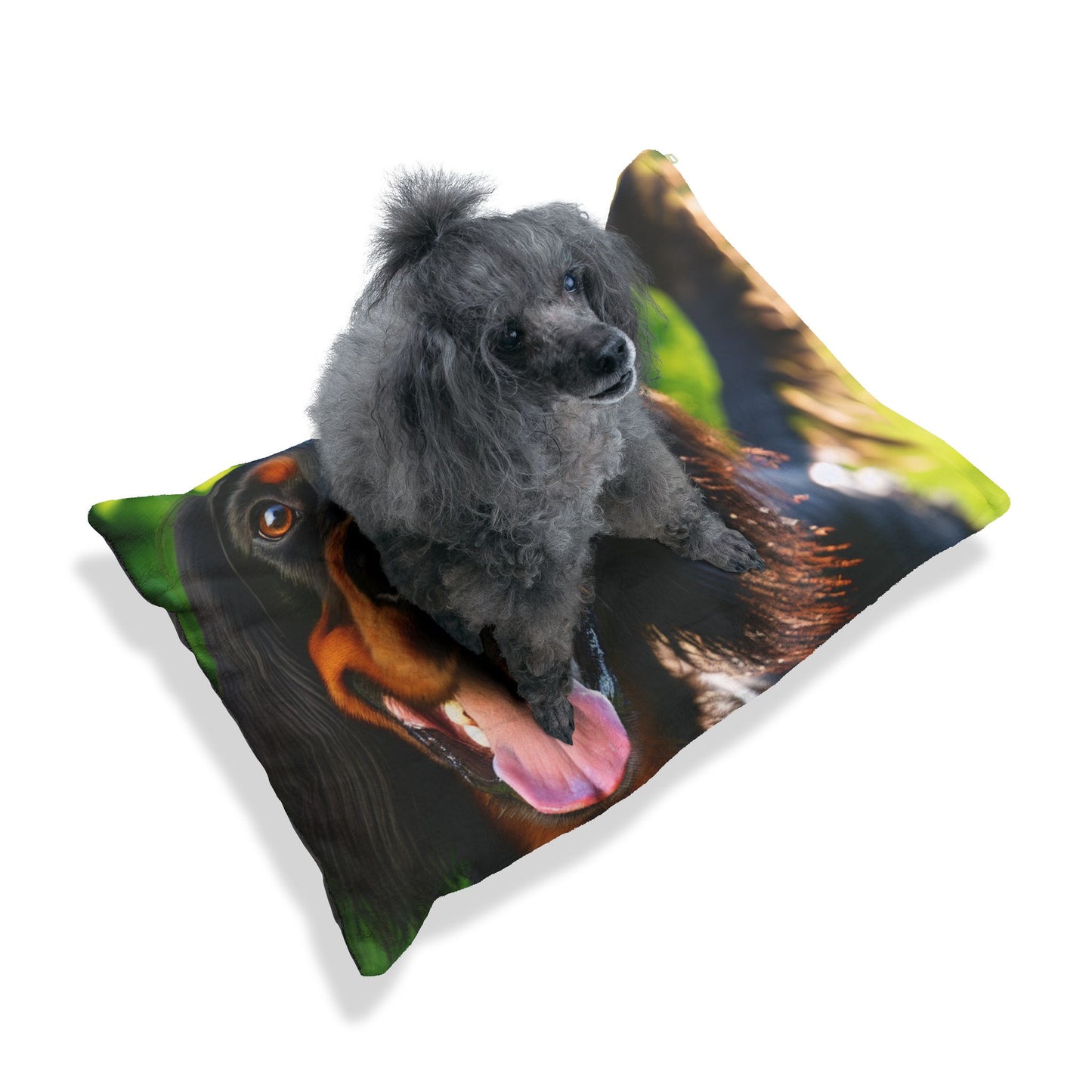 Gordon Setter Pet Bed
