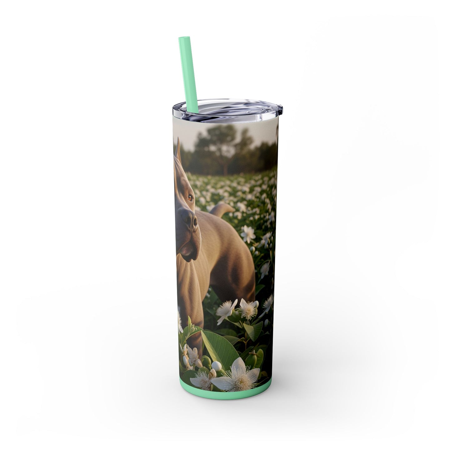 Bully Kutta Skinny Tumbler with Straw, 20oz