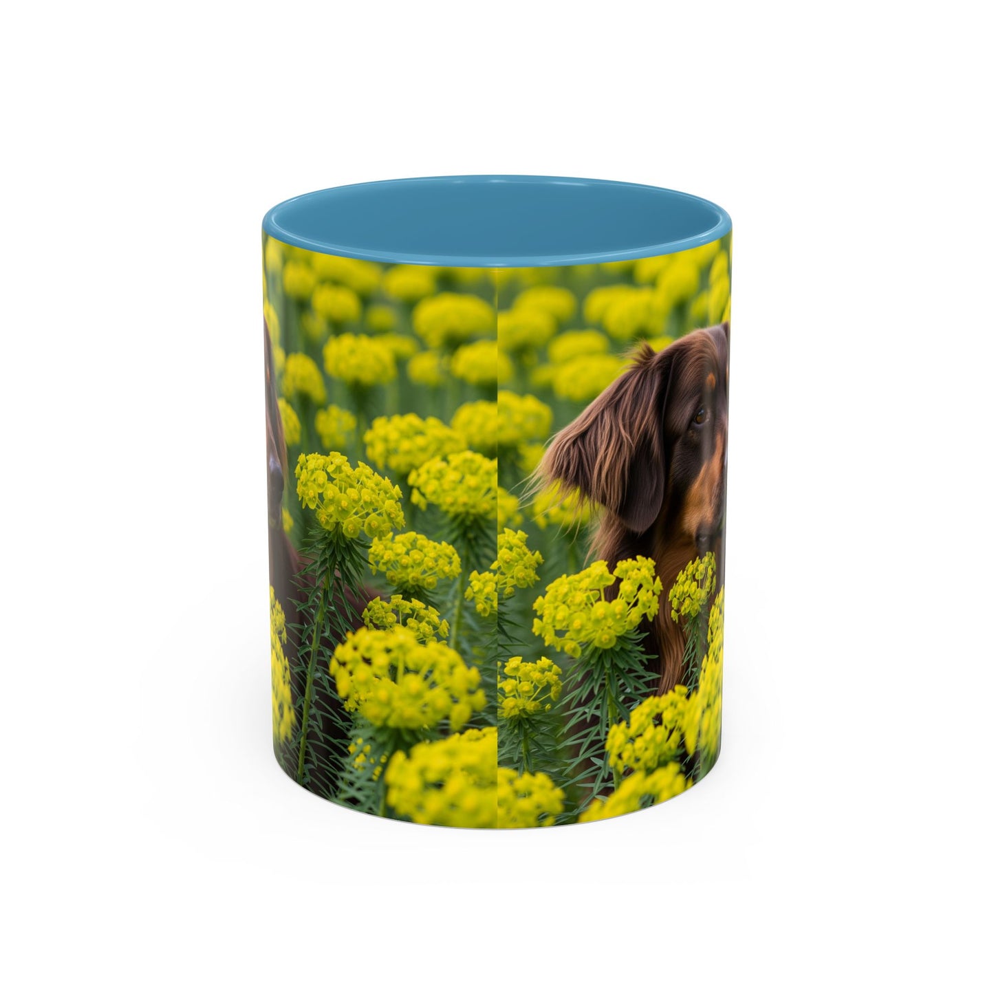 Hovawart Accent Coffee Mug - Perfect Gift for Dog Lovers