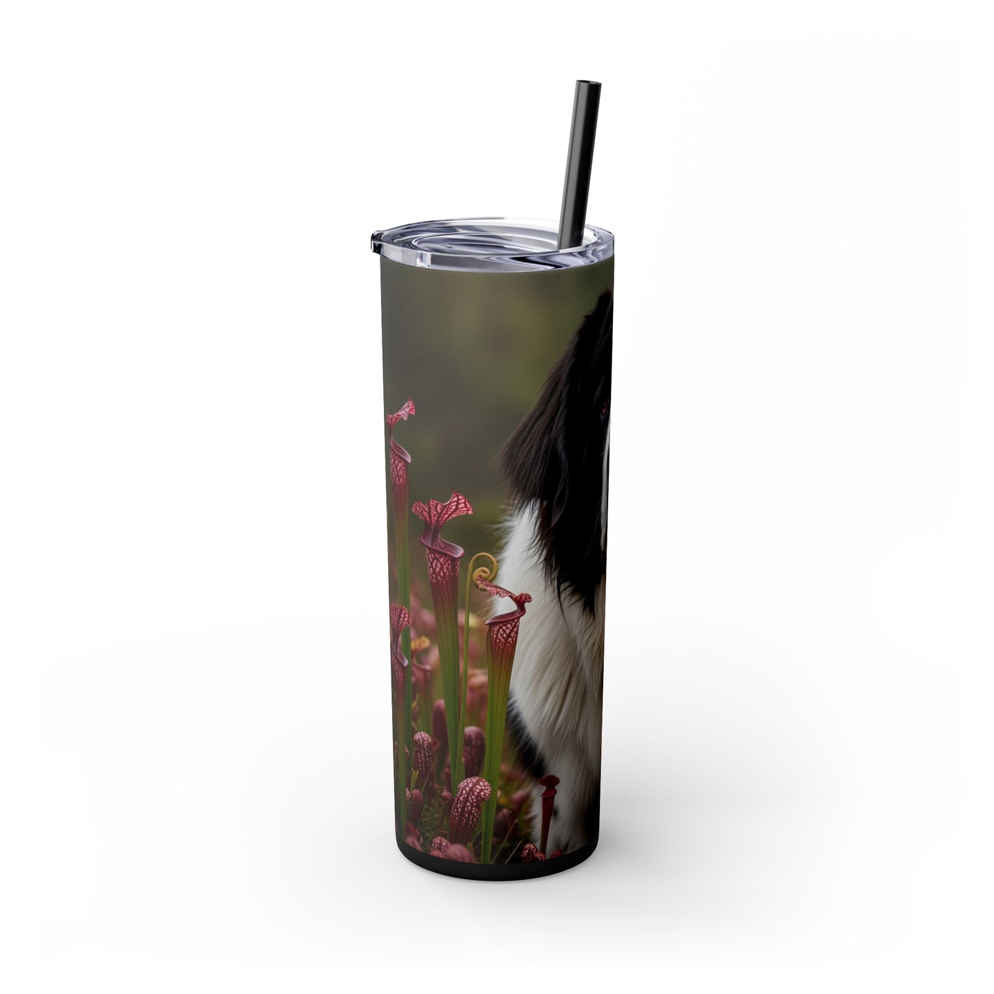 Landseer Tumbler with Straw, 20oz