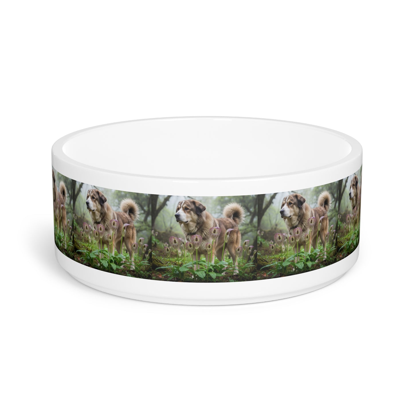 Bakharwal Pet Bowl