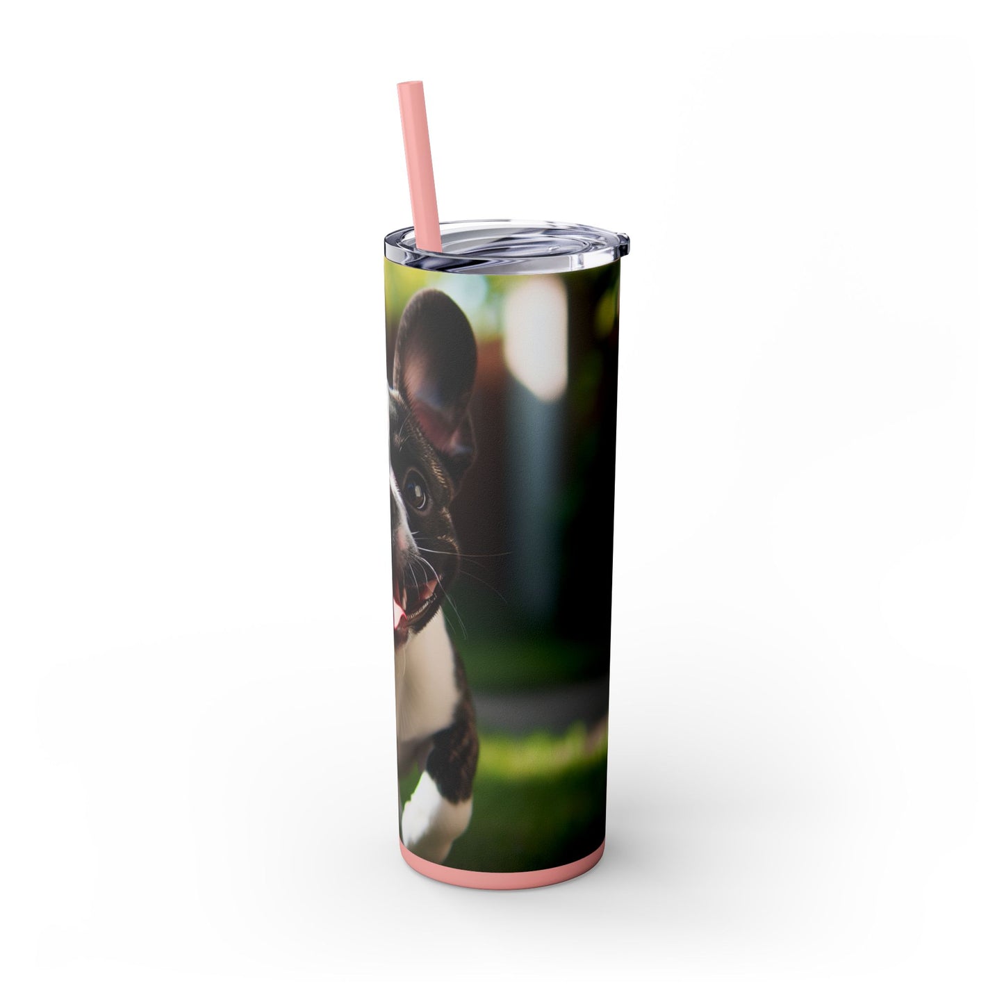 Frenchton Tumbler with Straw, 20oz