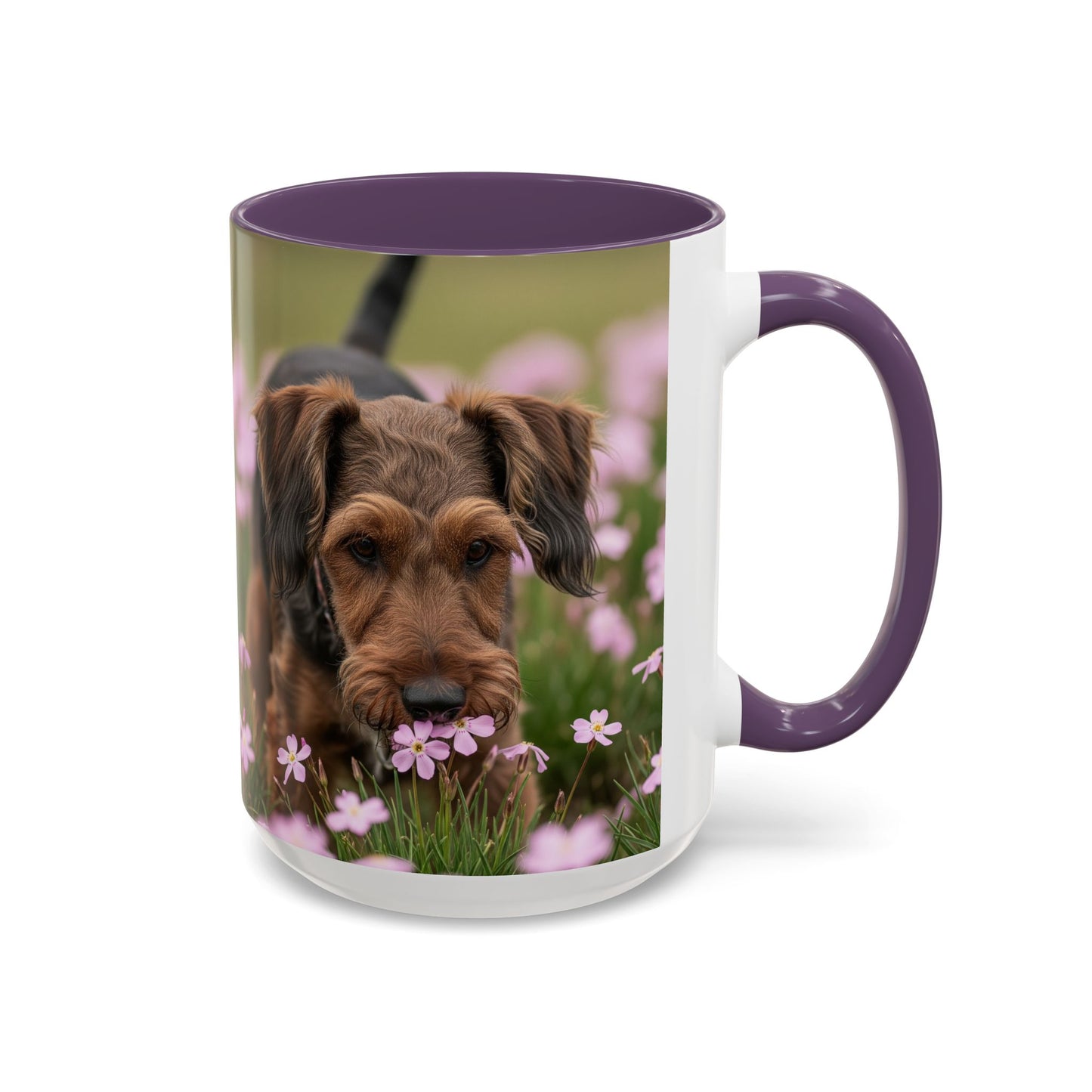 Cesky Terrier Accent Coffee Mug - Perfect Gift for Dog Lovers