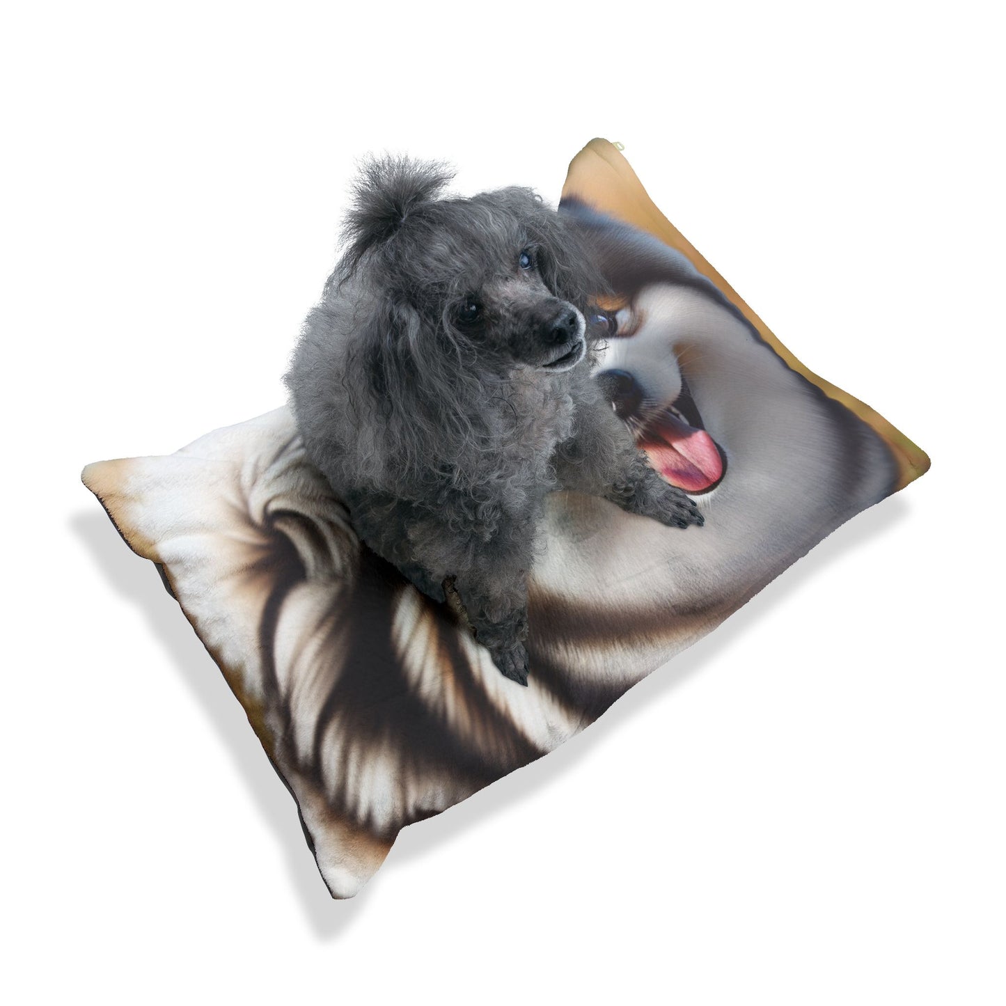 Pomsky Pet Bed