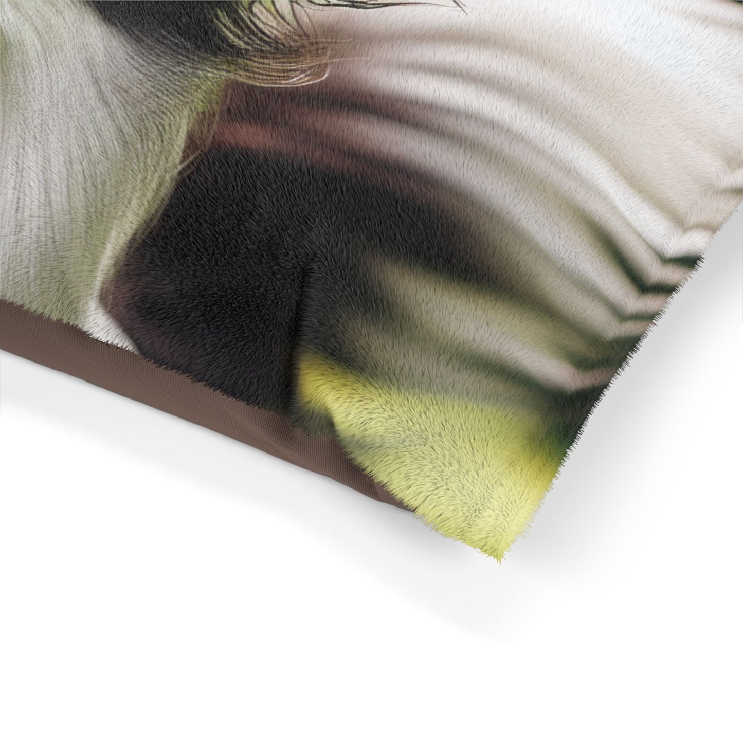 Border Collie Pet Bed