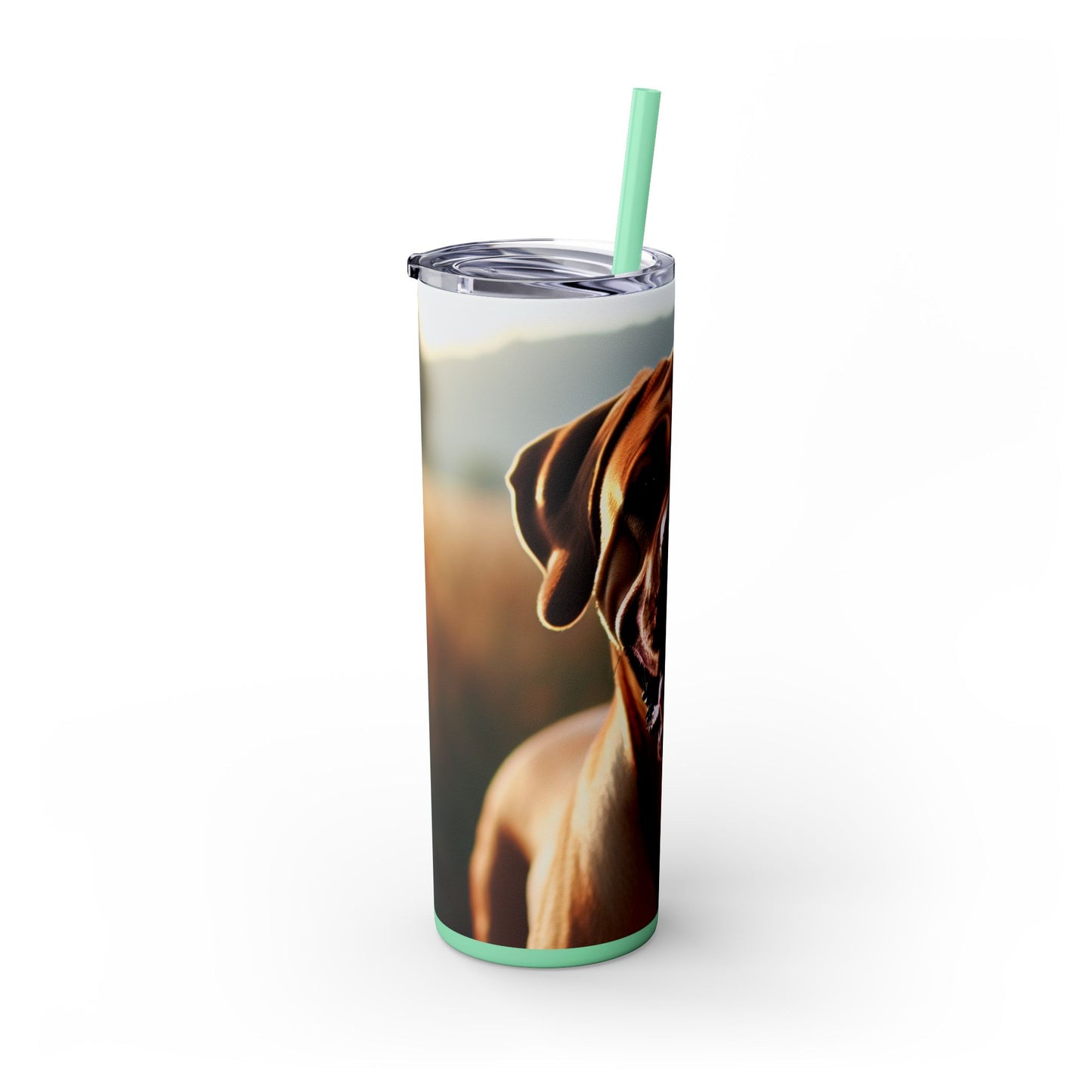 Broholmer Tumbler with Straw, 20oz