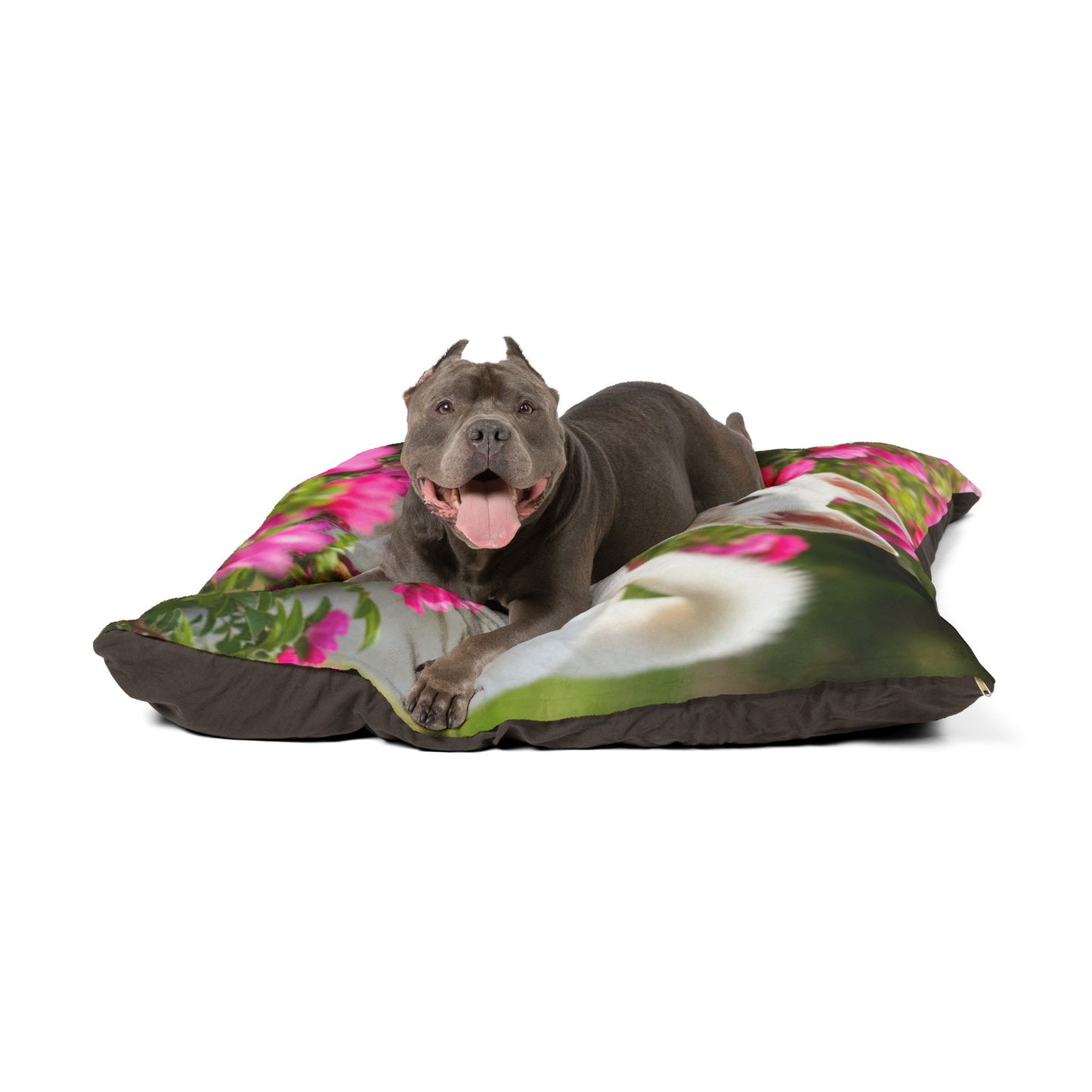 Norrbottenspets Pet Bed