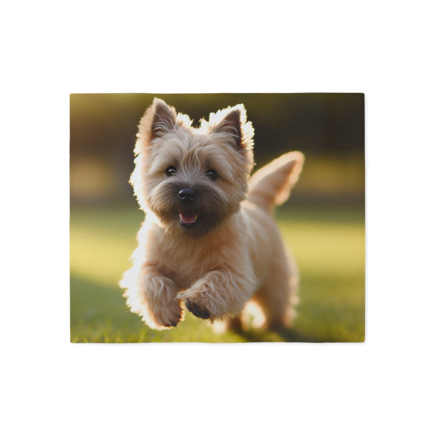 Cairn Terrier Sweatshirt Blanket