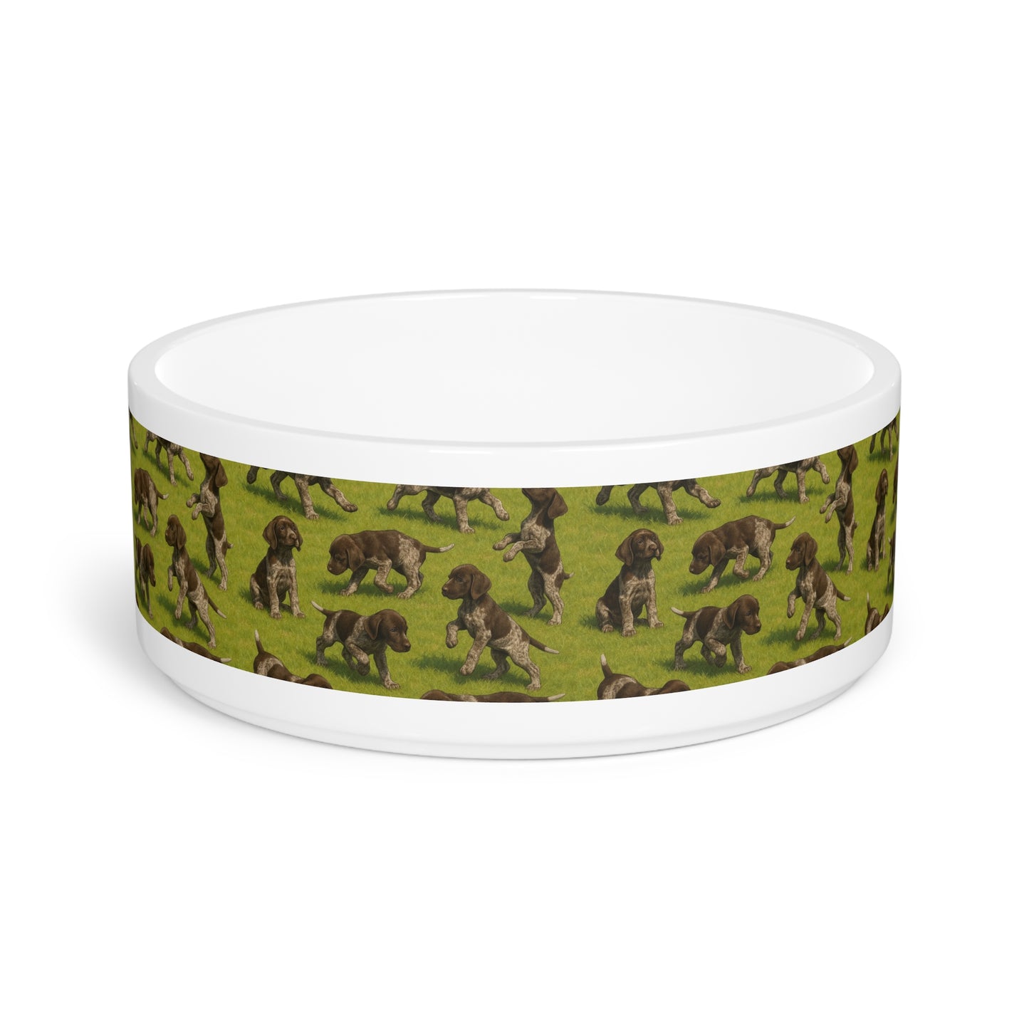 German Shorthaired Pointer puppies Pet Bowl
