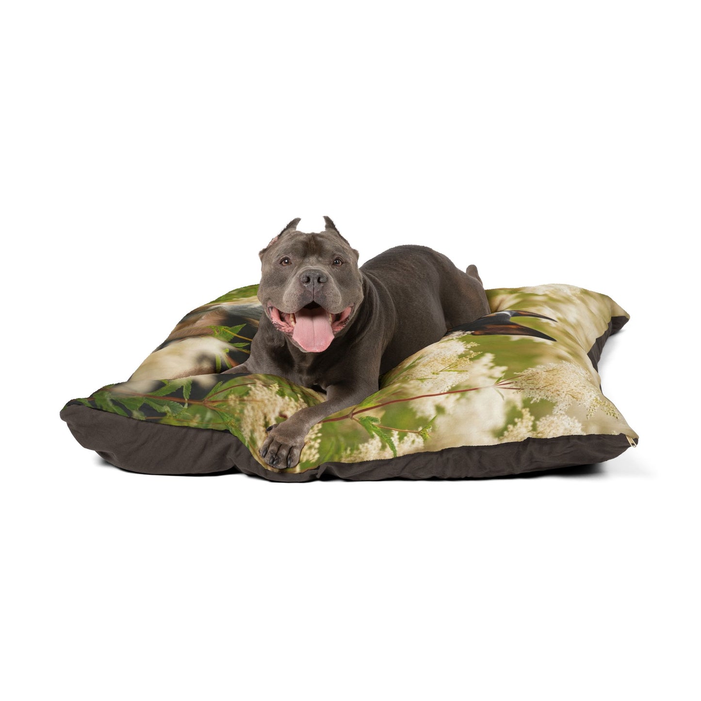 Lancashire Heeler Pet Bed
