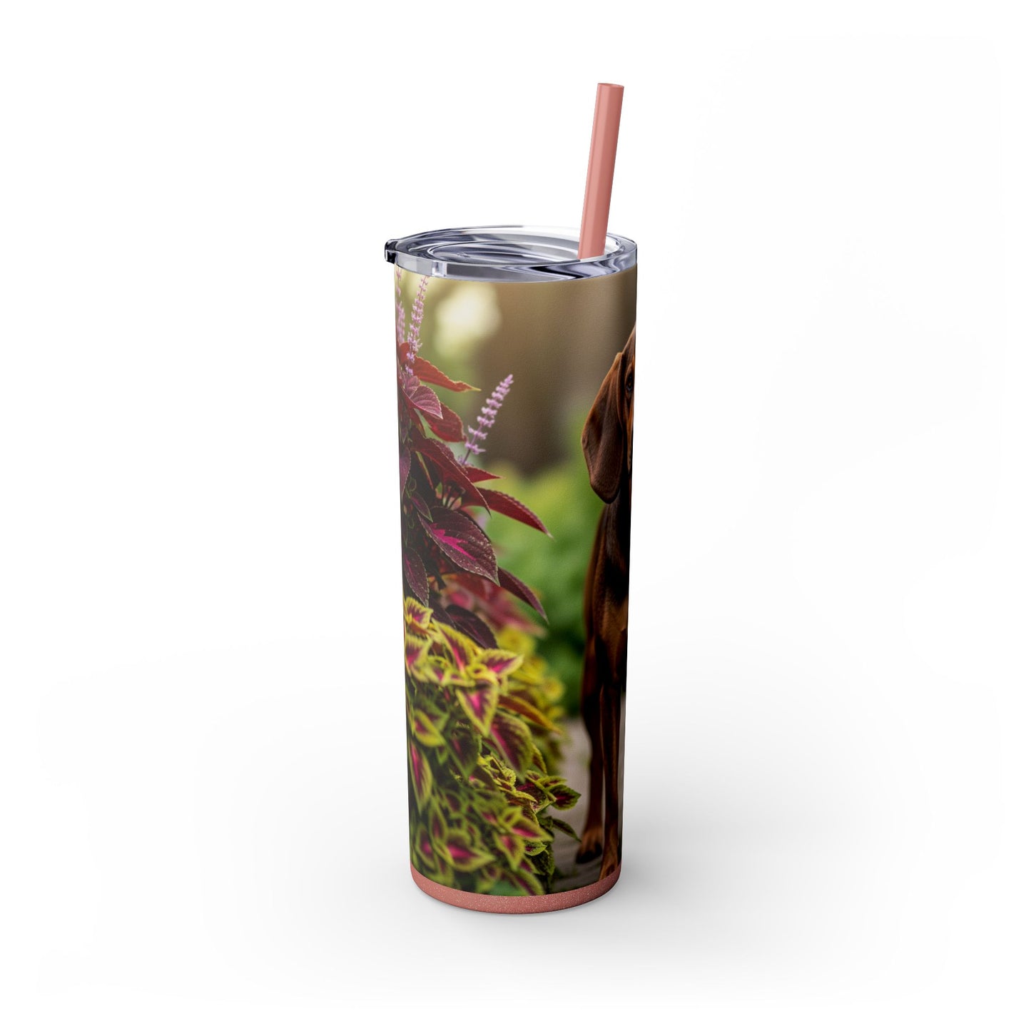 Hamiltonstovare Tumbler with Straw, 20oz