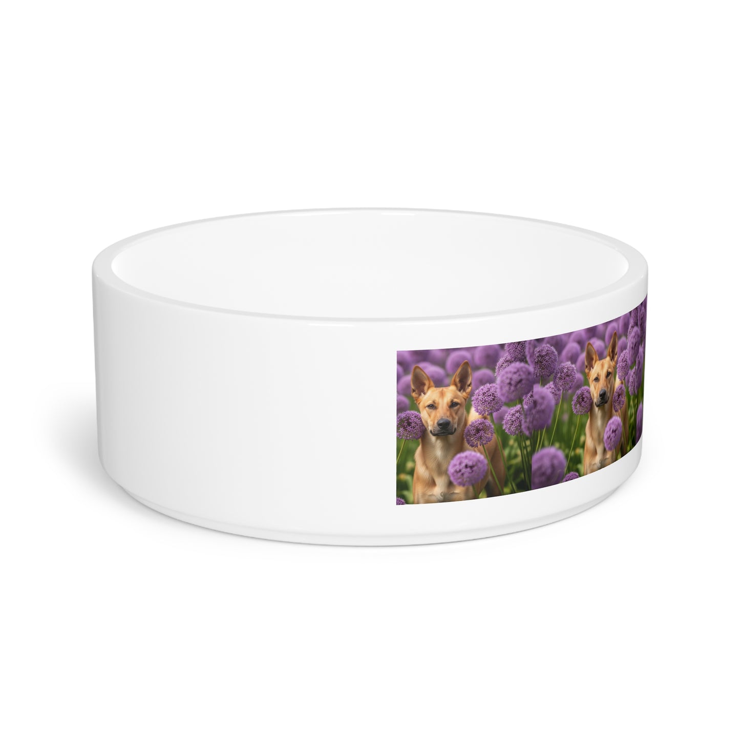 Canaan Dog Pet Bowl