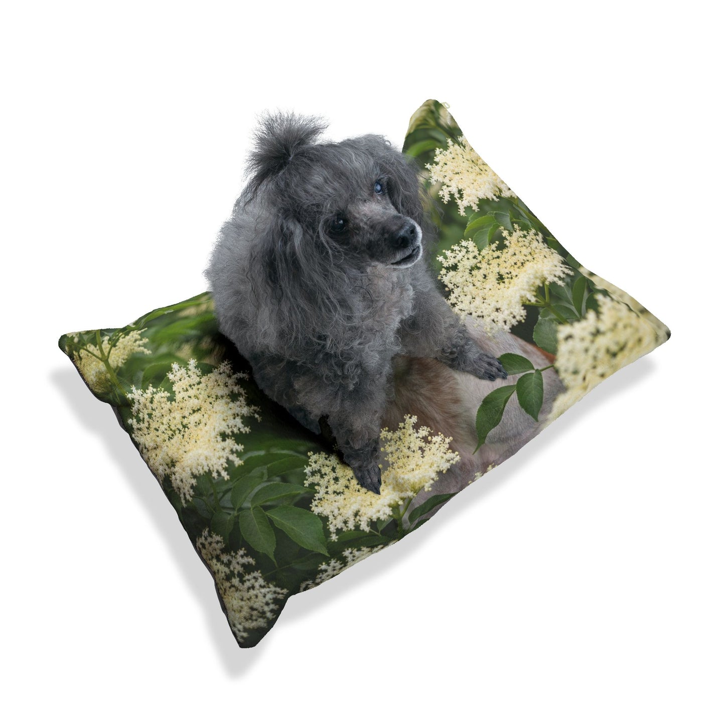 Braque St. Germain Pet Bed