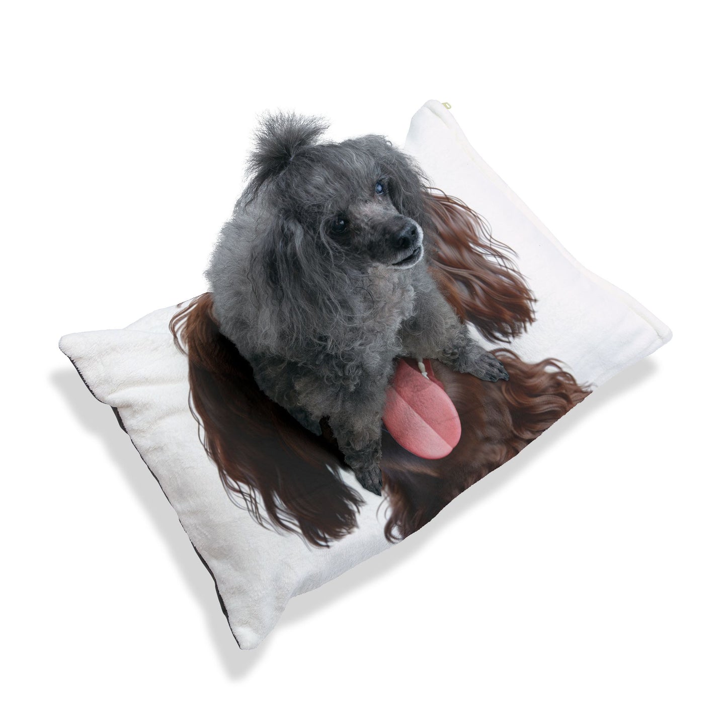 Pont-Audemer Spaniel Pet Bed