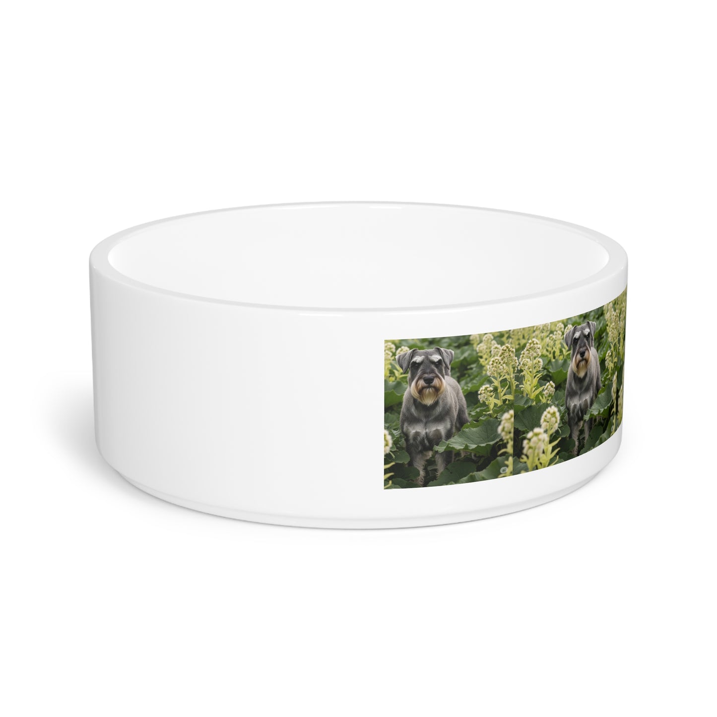 Standard Schnauzer Pet Bowl