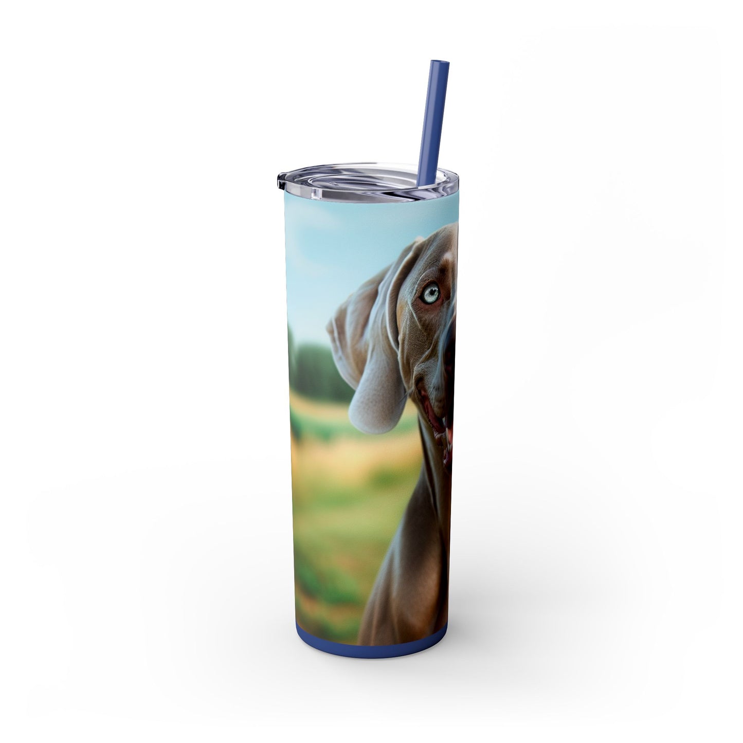 Weimaraner Skinny Tumbler with Straw, 20oz