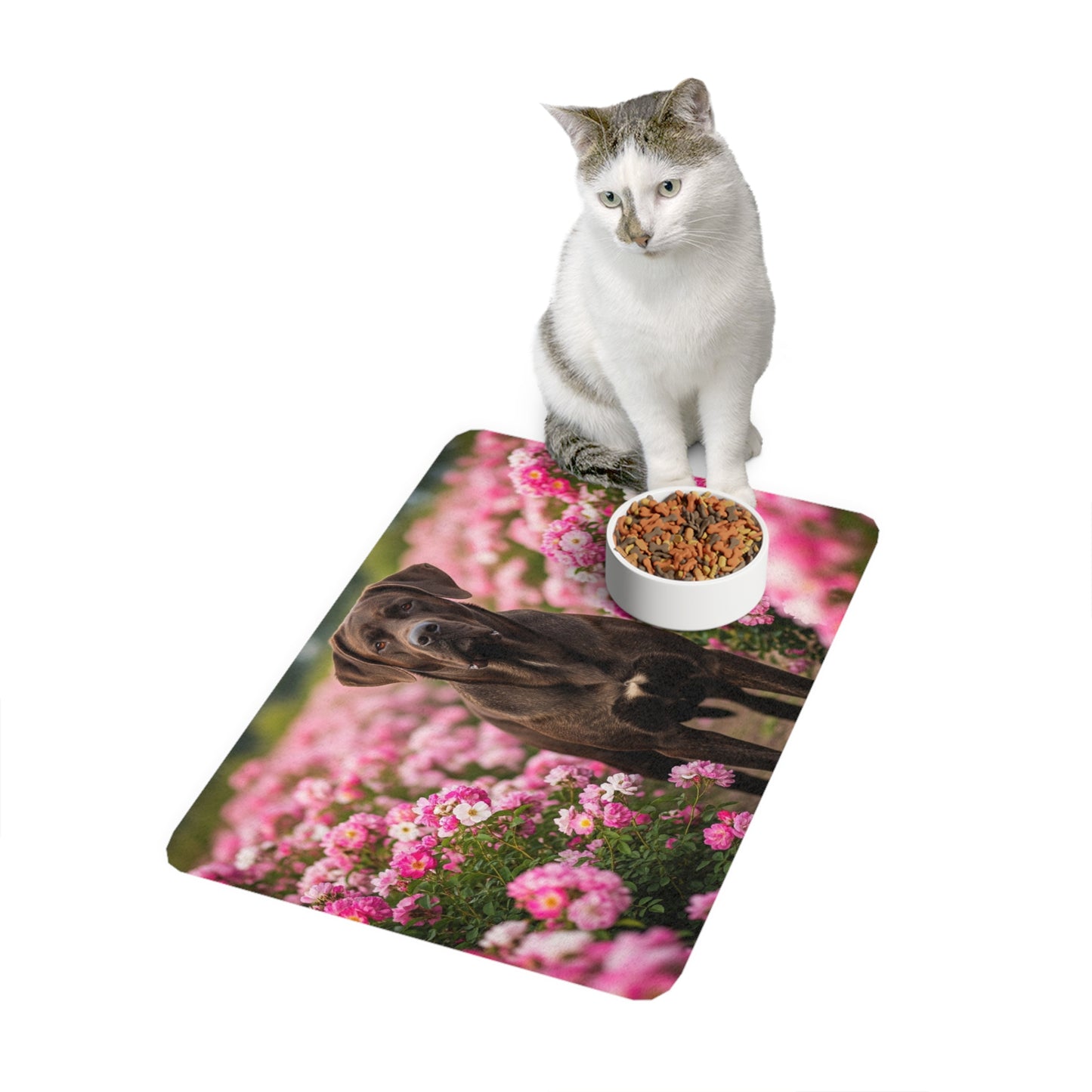 Pet Food Mat (12x18) - Broholmer
