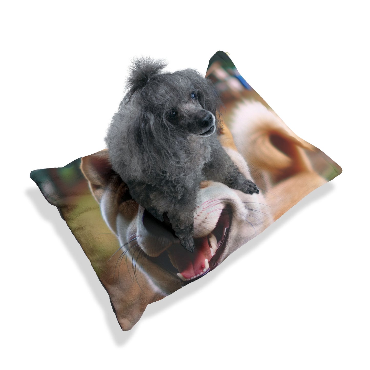 Korean Jindo Dog Pet Bed