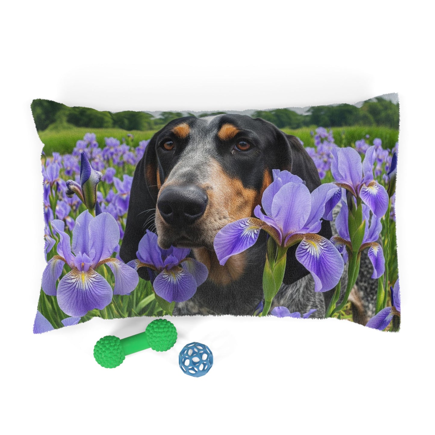 Bluetick Coonhound Pet Bed