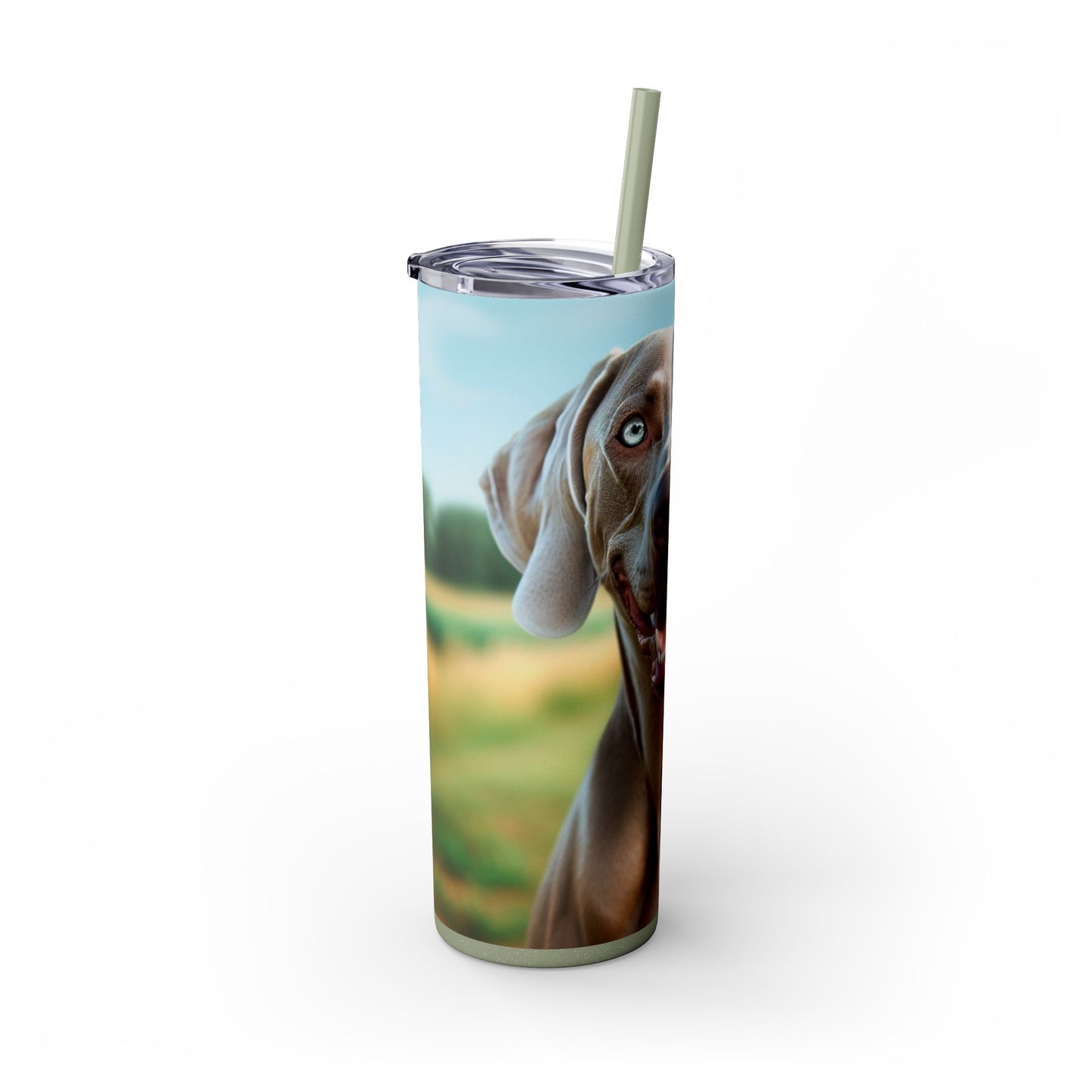 Weimaraner Skinny Tumbler with Straw, 20oz