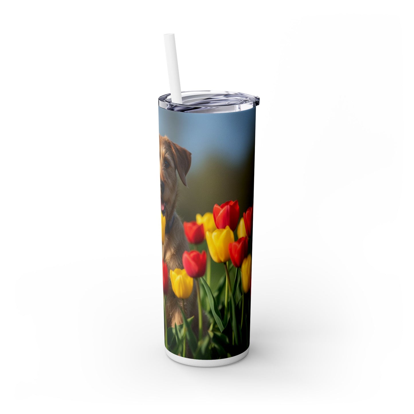 Pumi Skinny Tumbler with Straw, 20oz