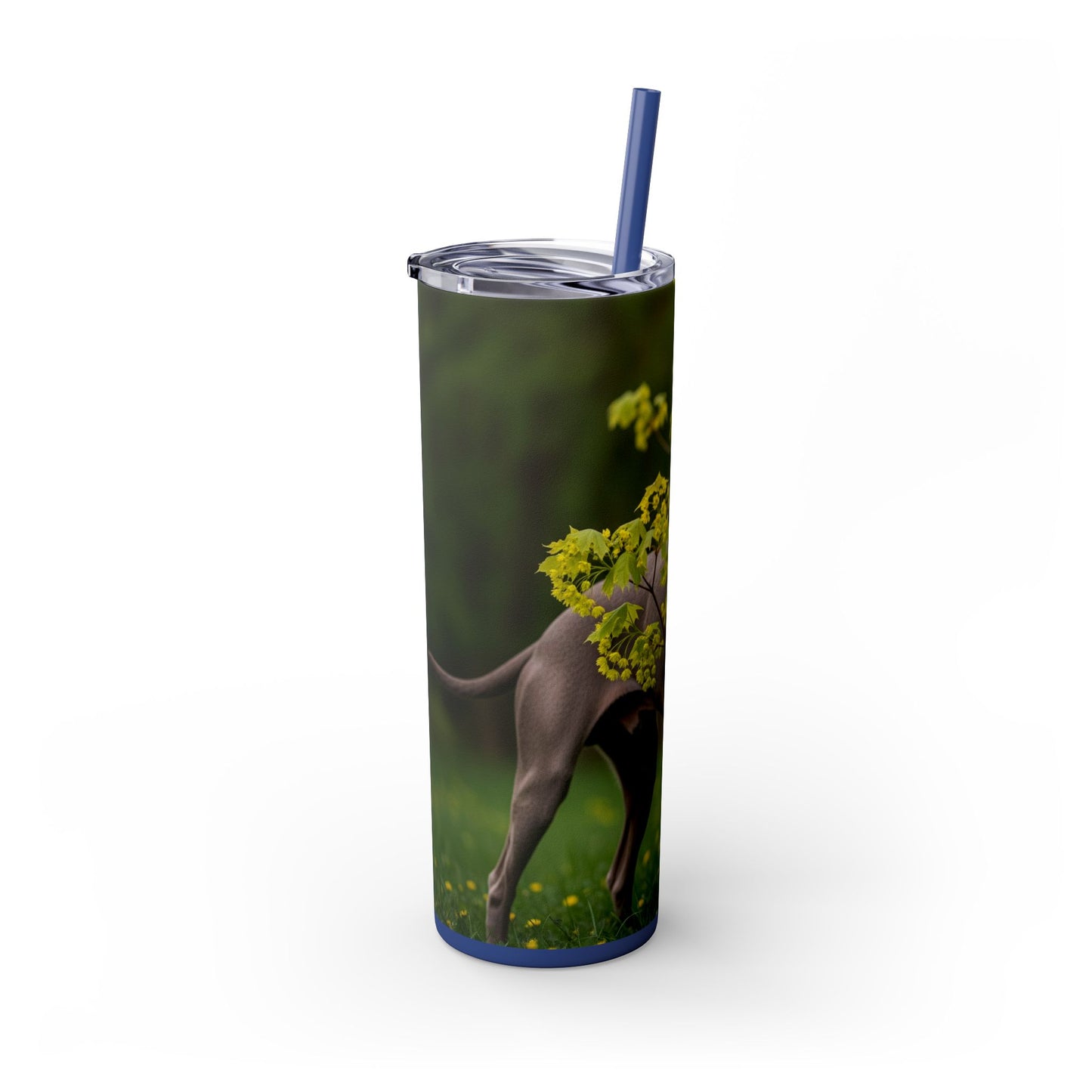 Weimaraner Skinny Tumbler with Straw, 20oz